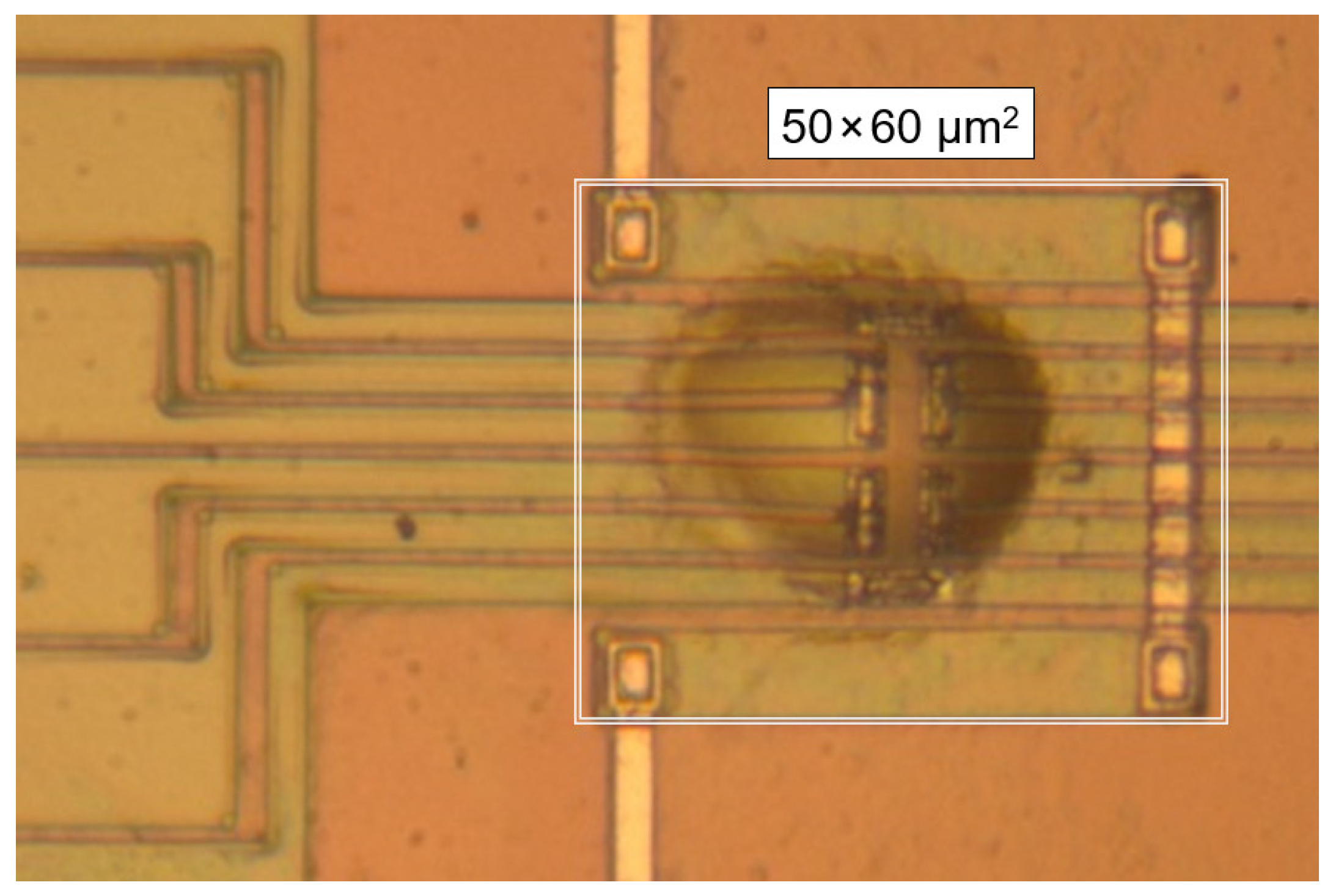 Polymers 13 02008 g001