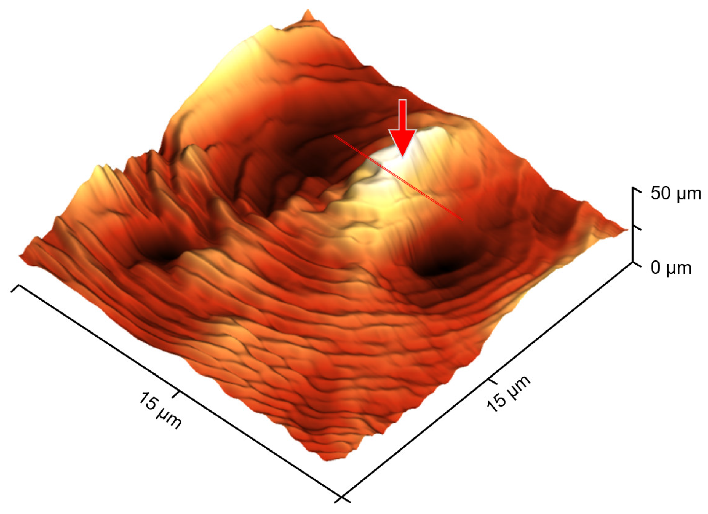 Polymers 13 02008 g004