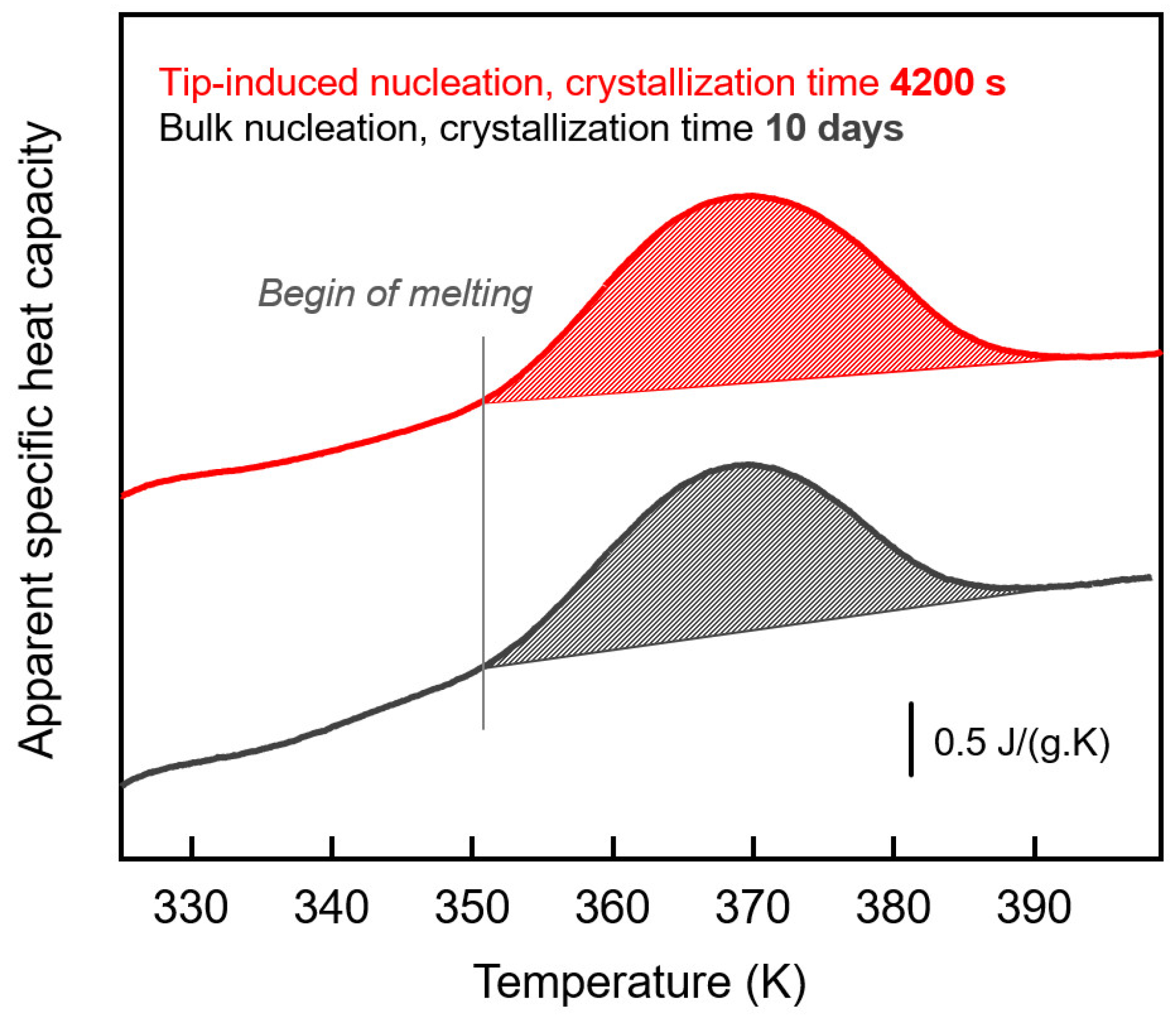 Polymers 13 02008 g005