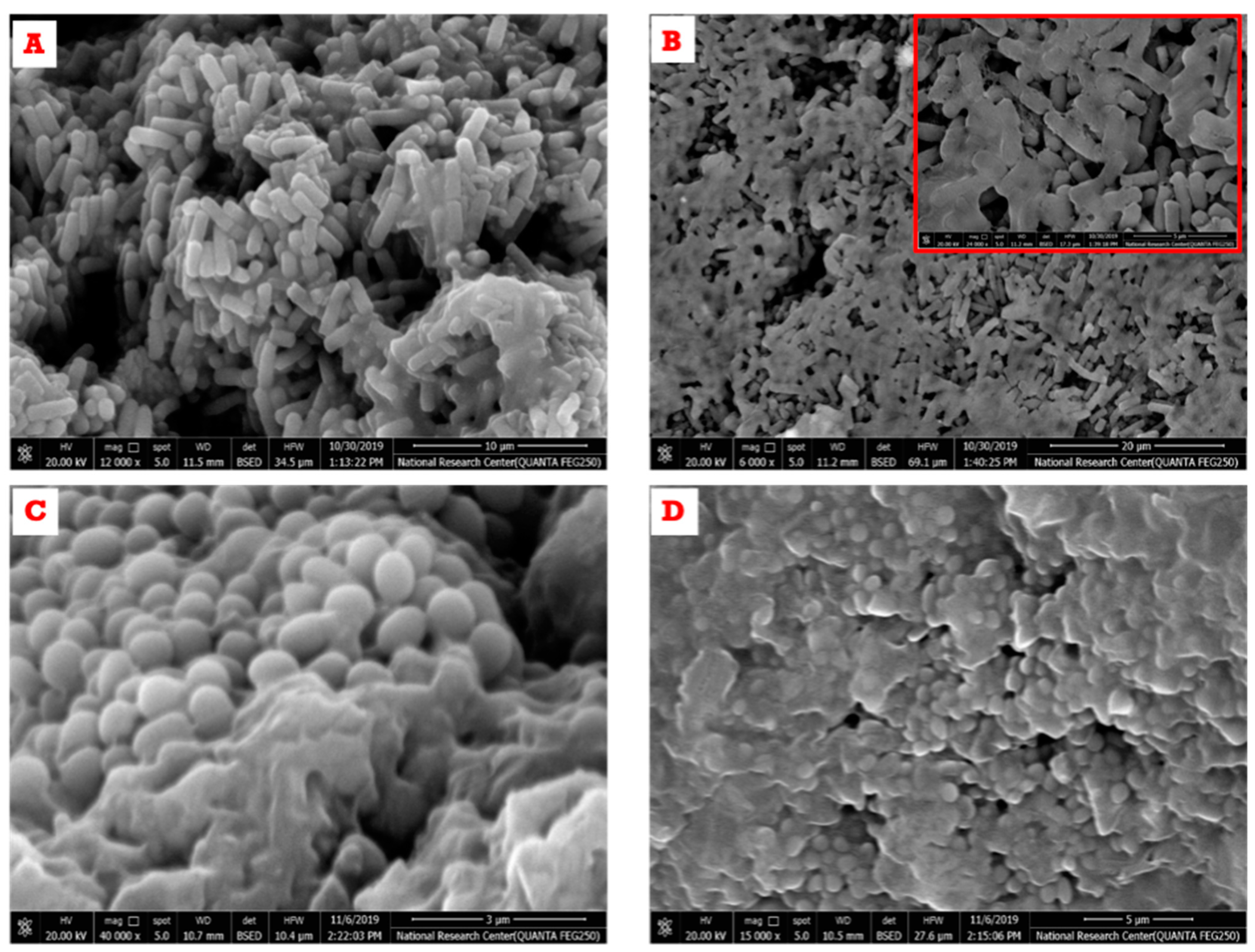 Polymers 13 02009 g010 Polymers 13 02009 g010