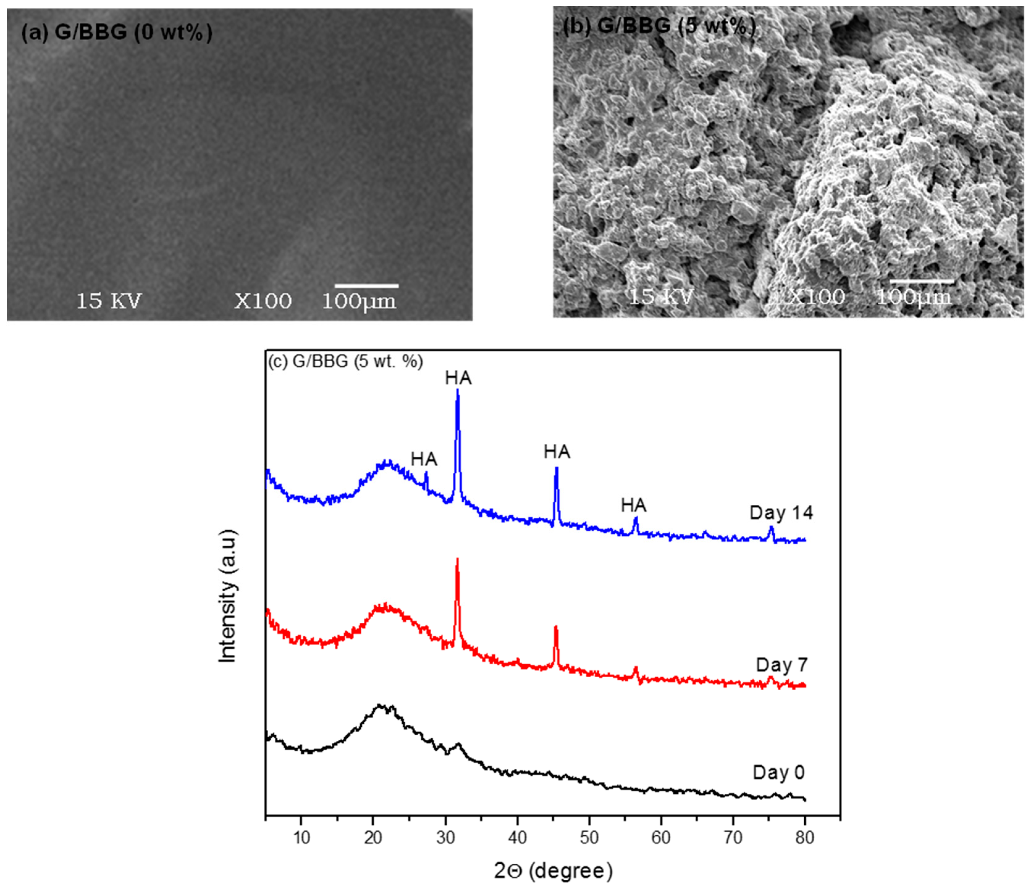 Polymers 13 02014 g010