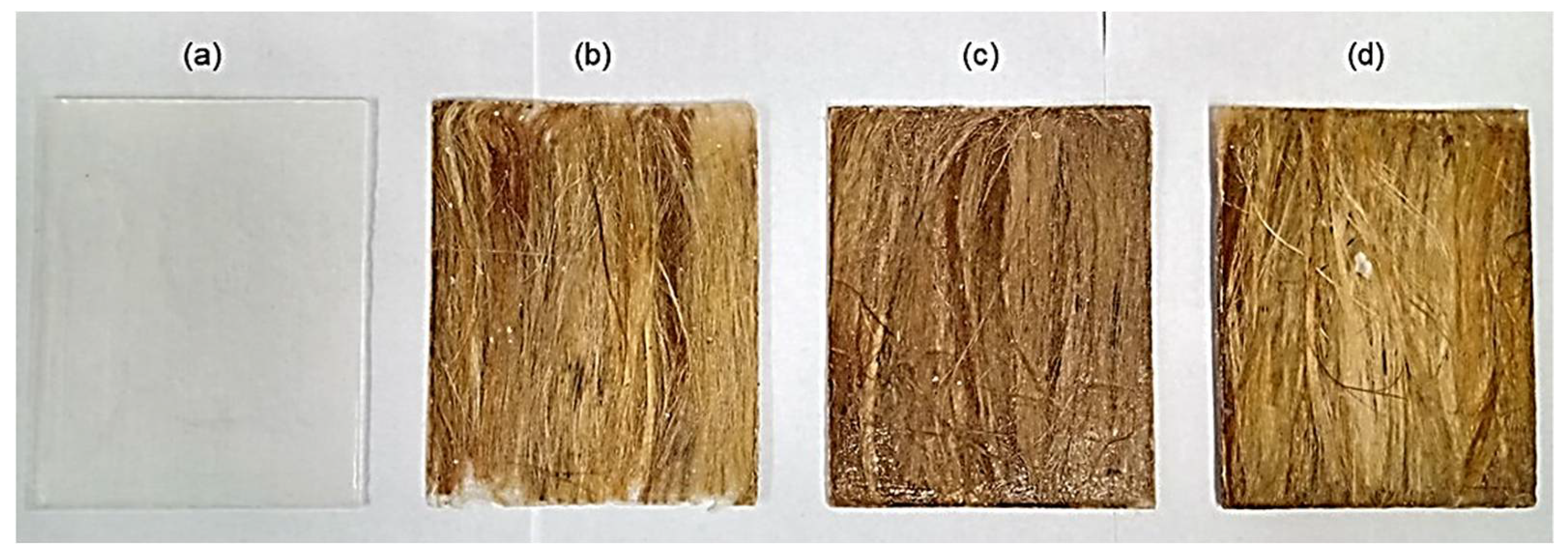 Polymers 13 02016 g003 Polymers 13 02016 g003