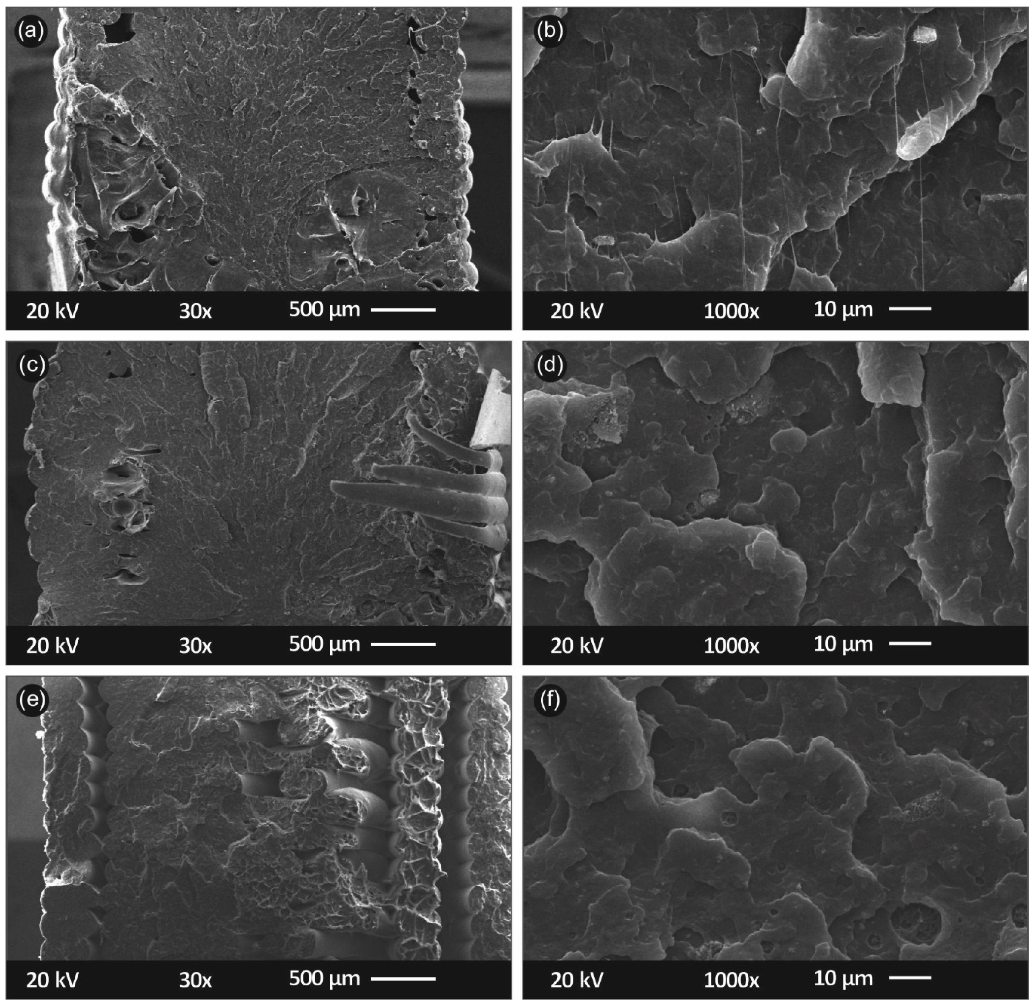 Polymers 13 02029 g009
