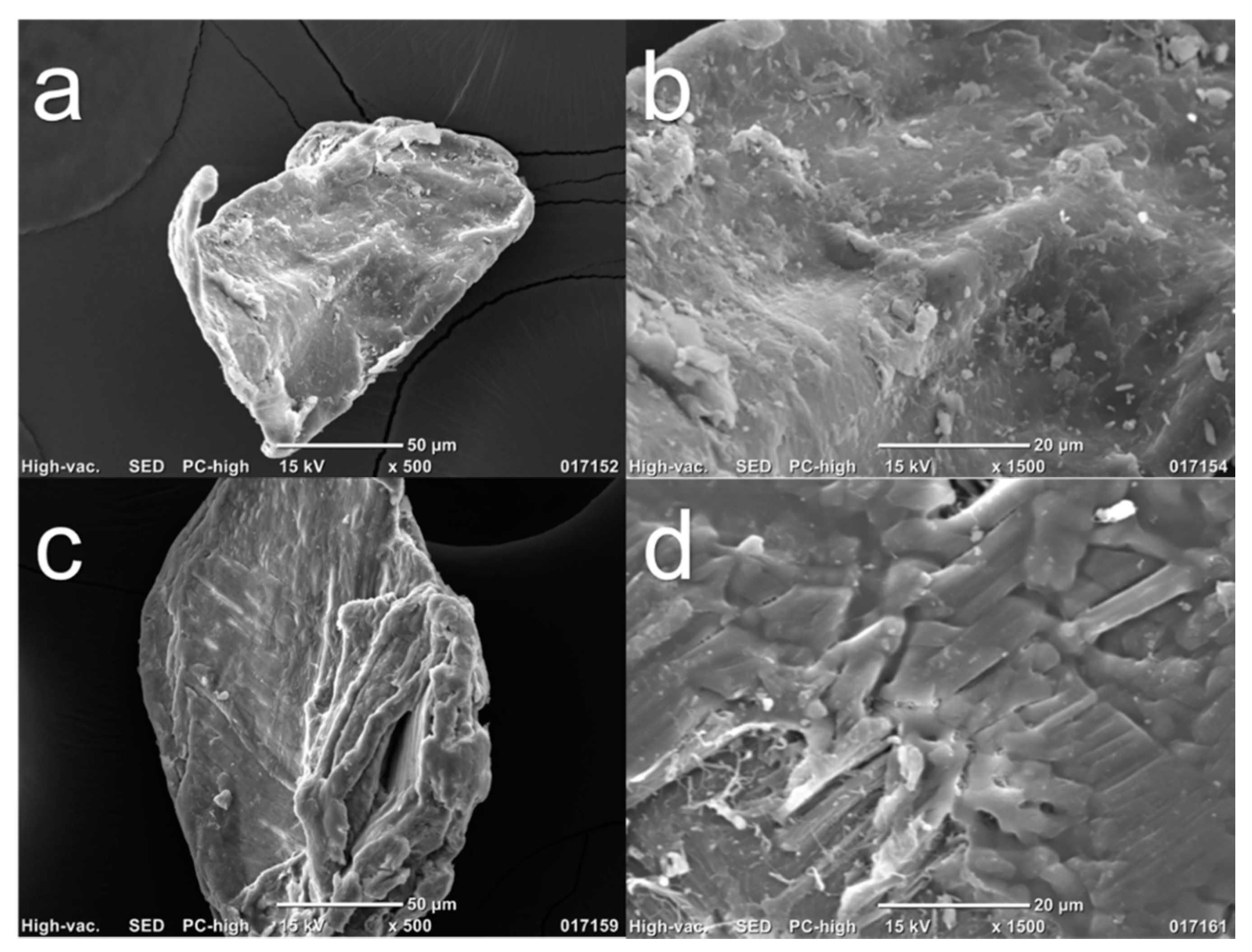 Polymers 13 02079 g004