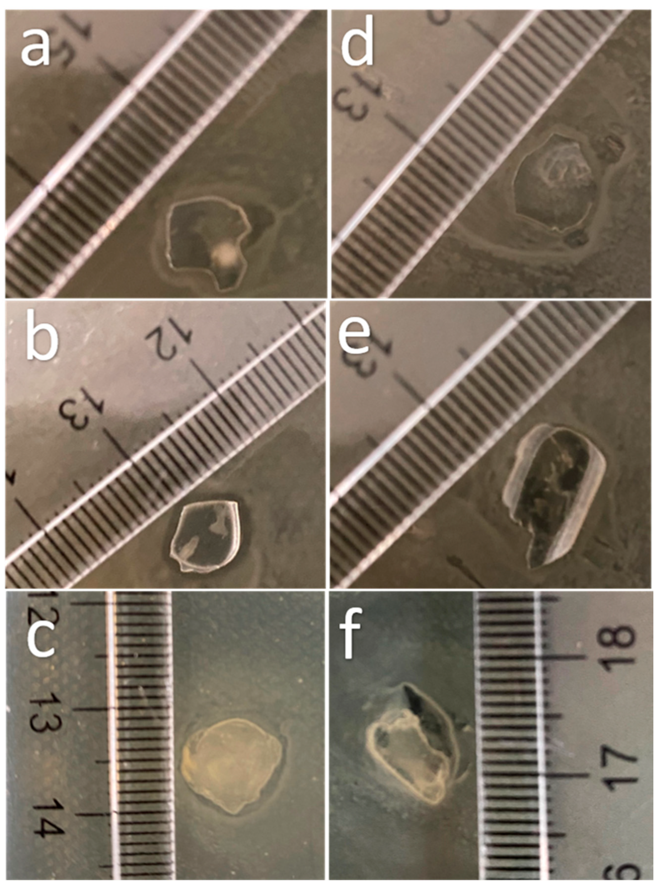Polymers 13 02079 g006