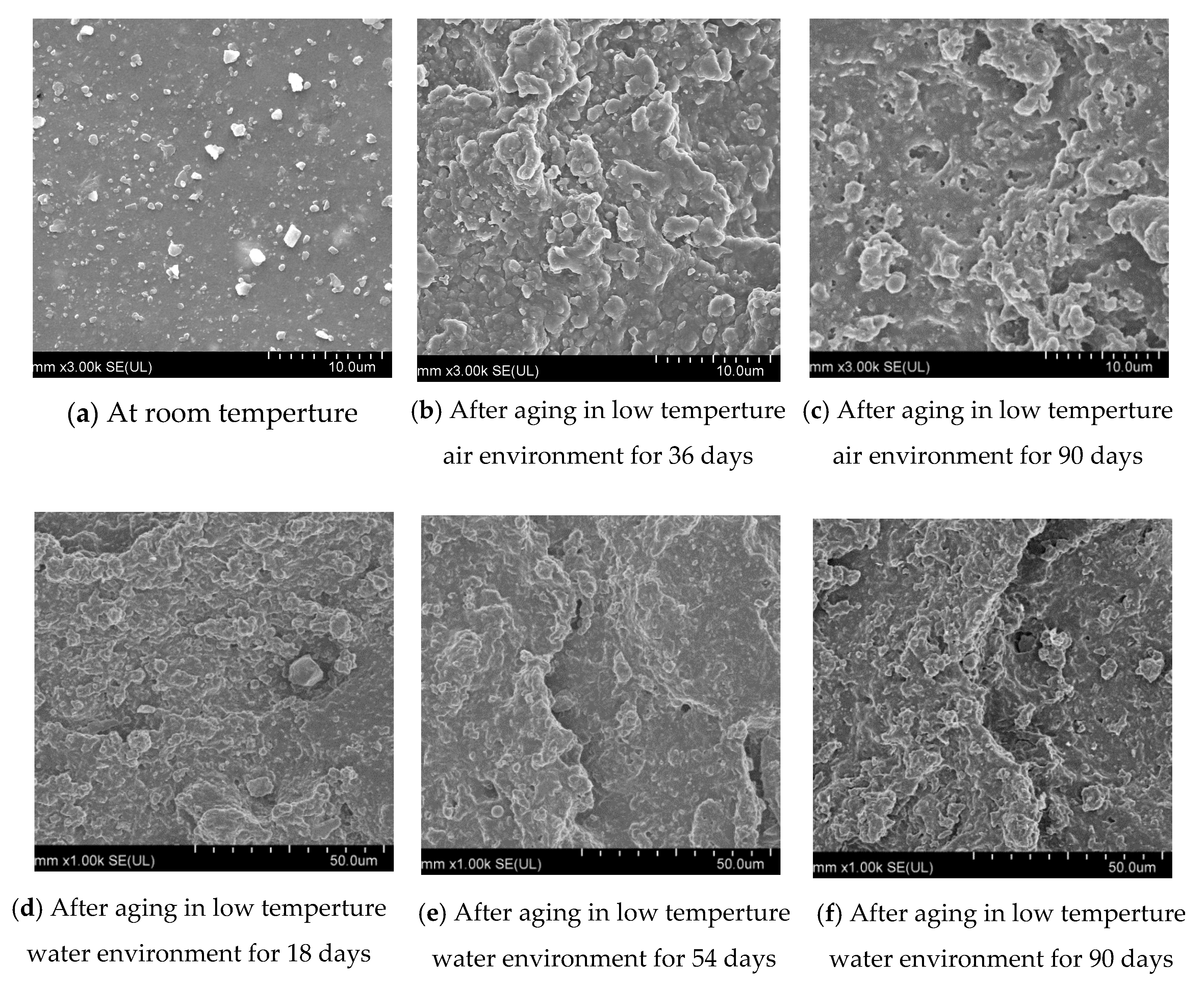 Polymers 13 02119 g007