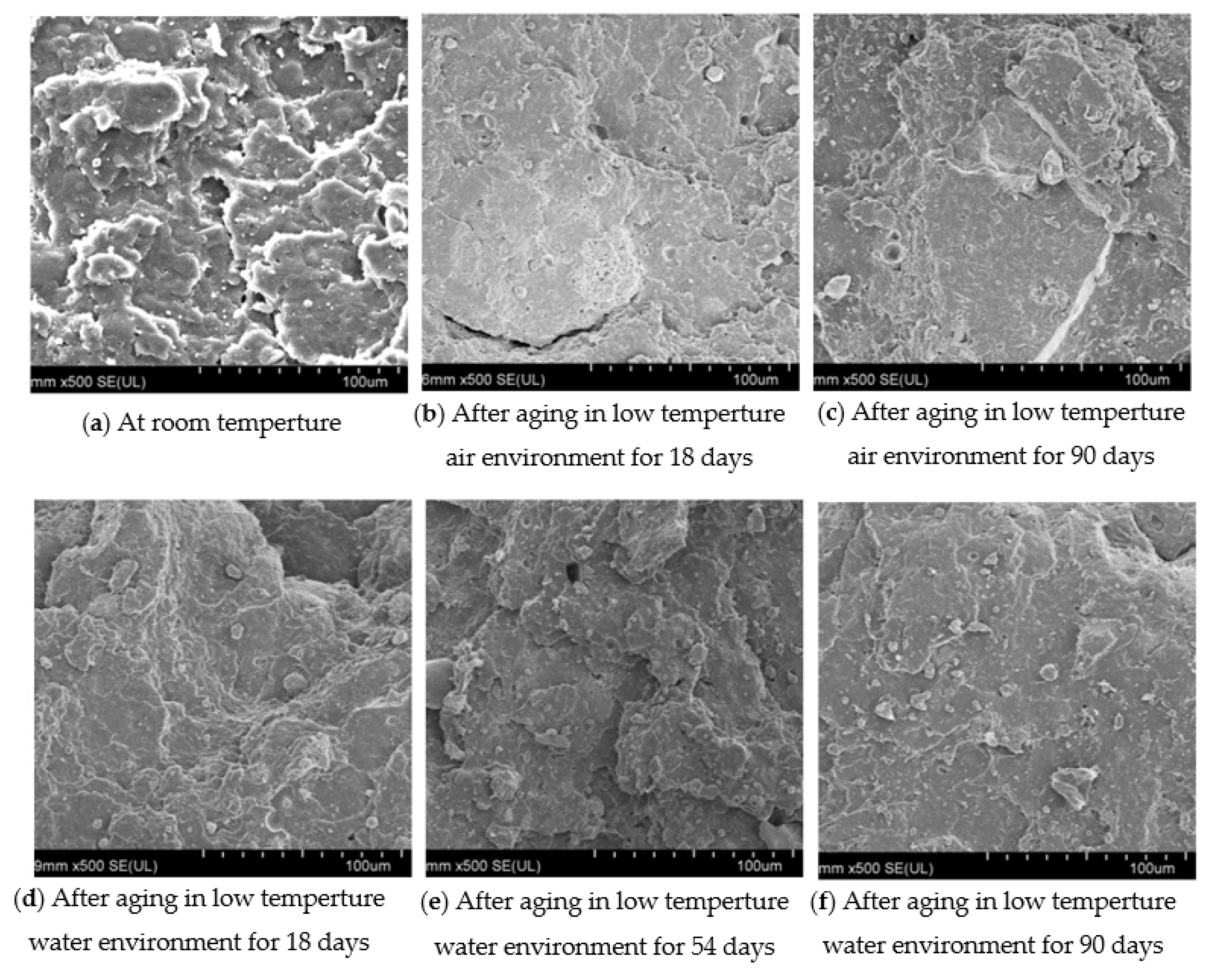 Polymers 13 02119 g008