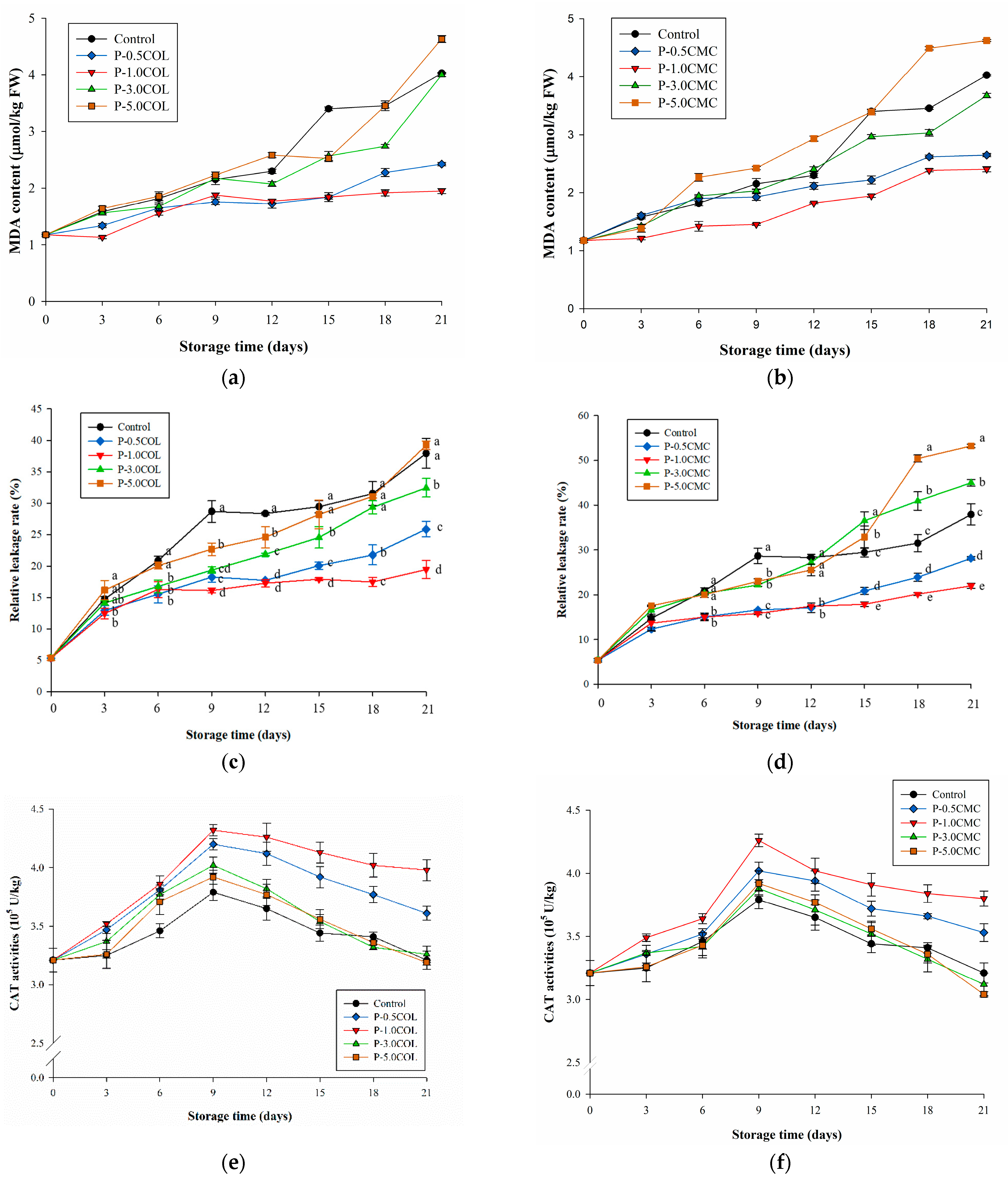 Polymers 13 02120 g005