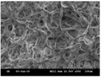 Polymers 13 02120 i009