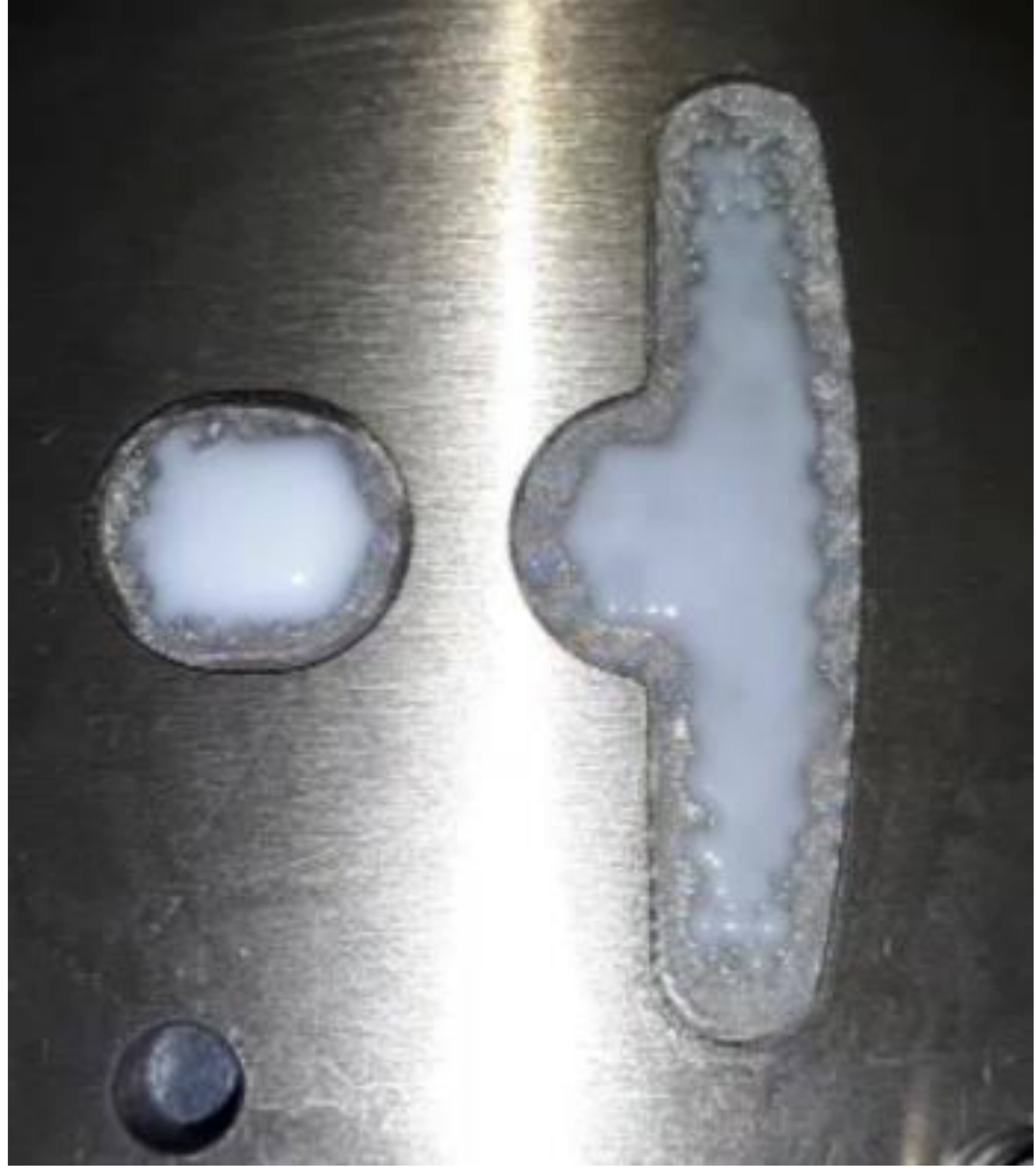 Polymers 13 02186 i007