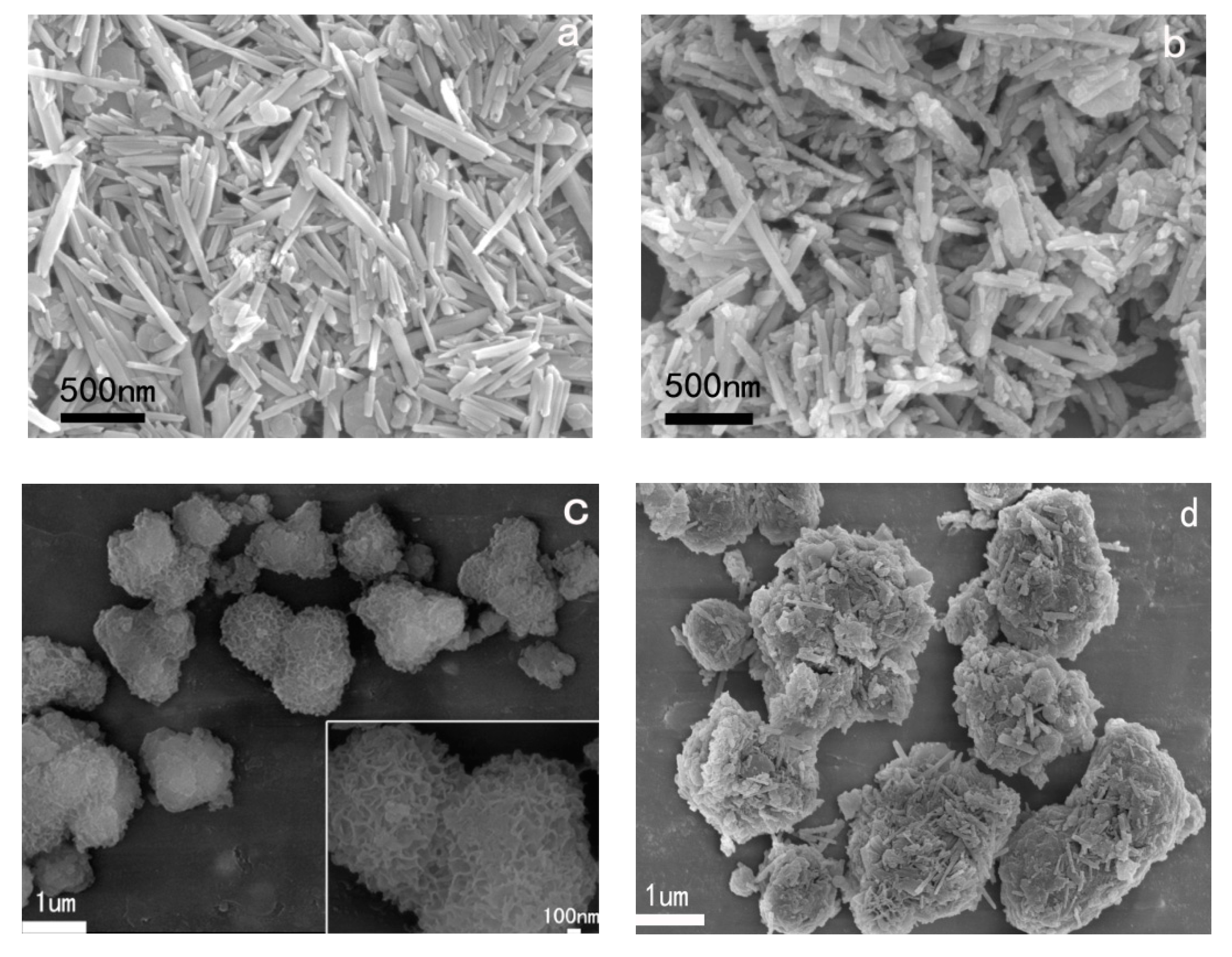 Polymers 13 02224 g003a