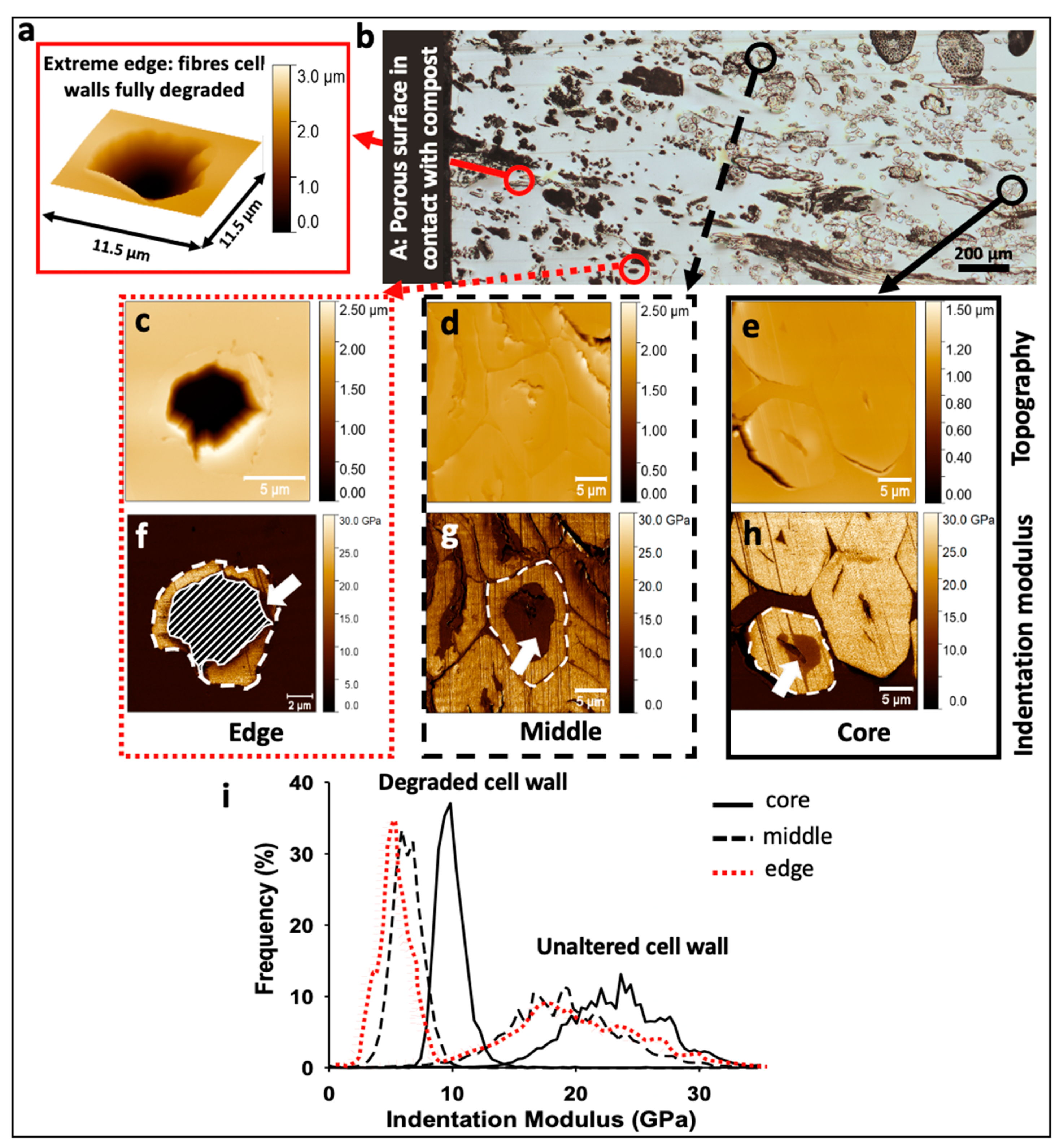 Polymers 13 02225 g004