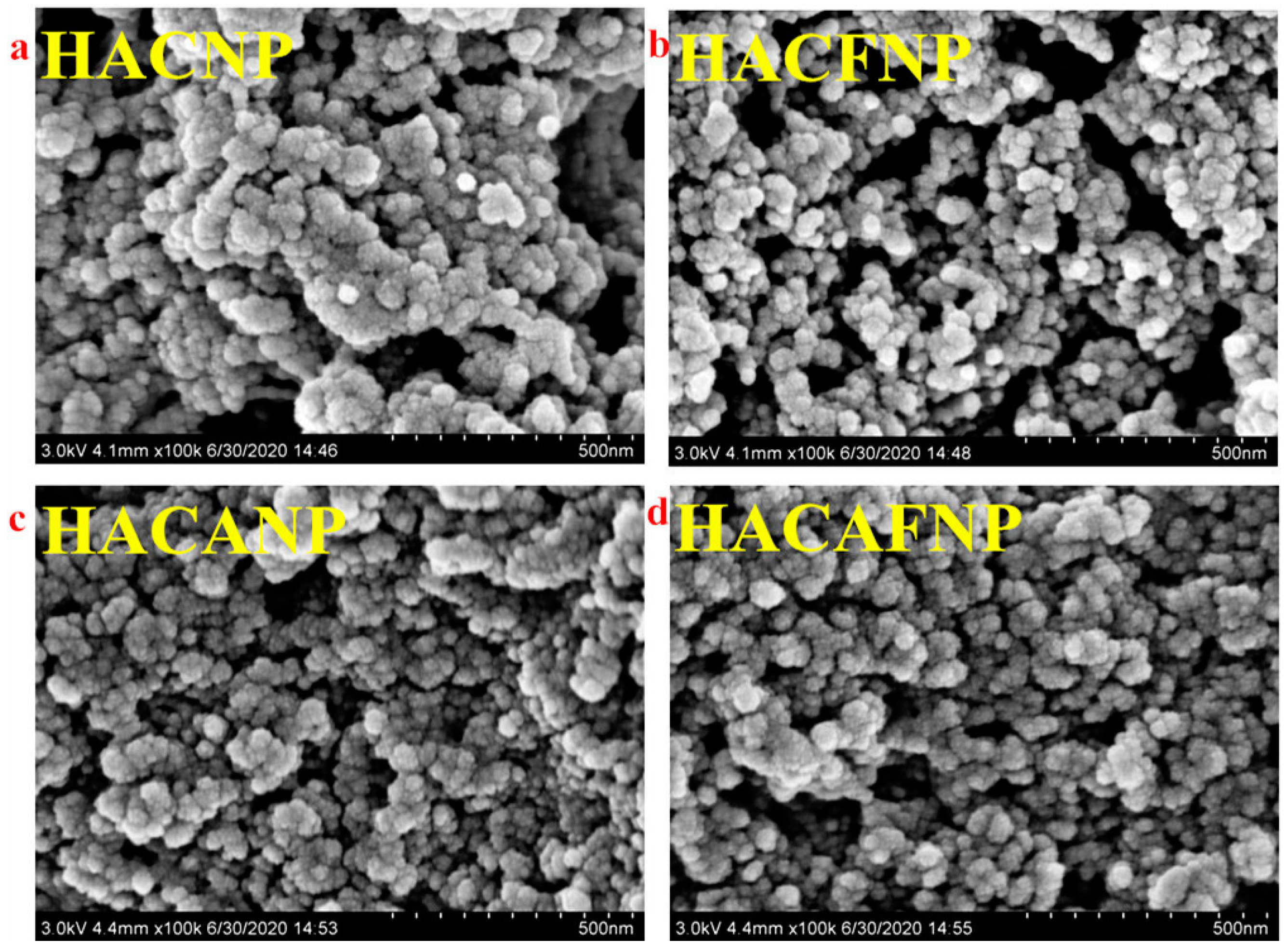 Polymers 13 02229 g004