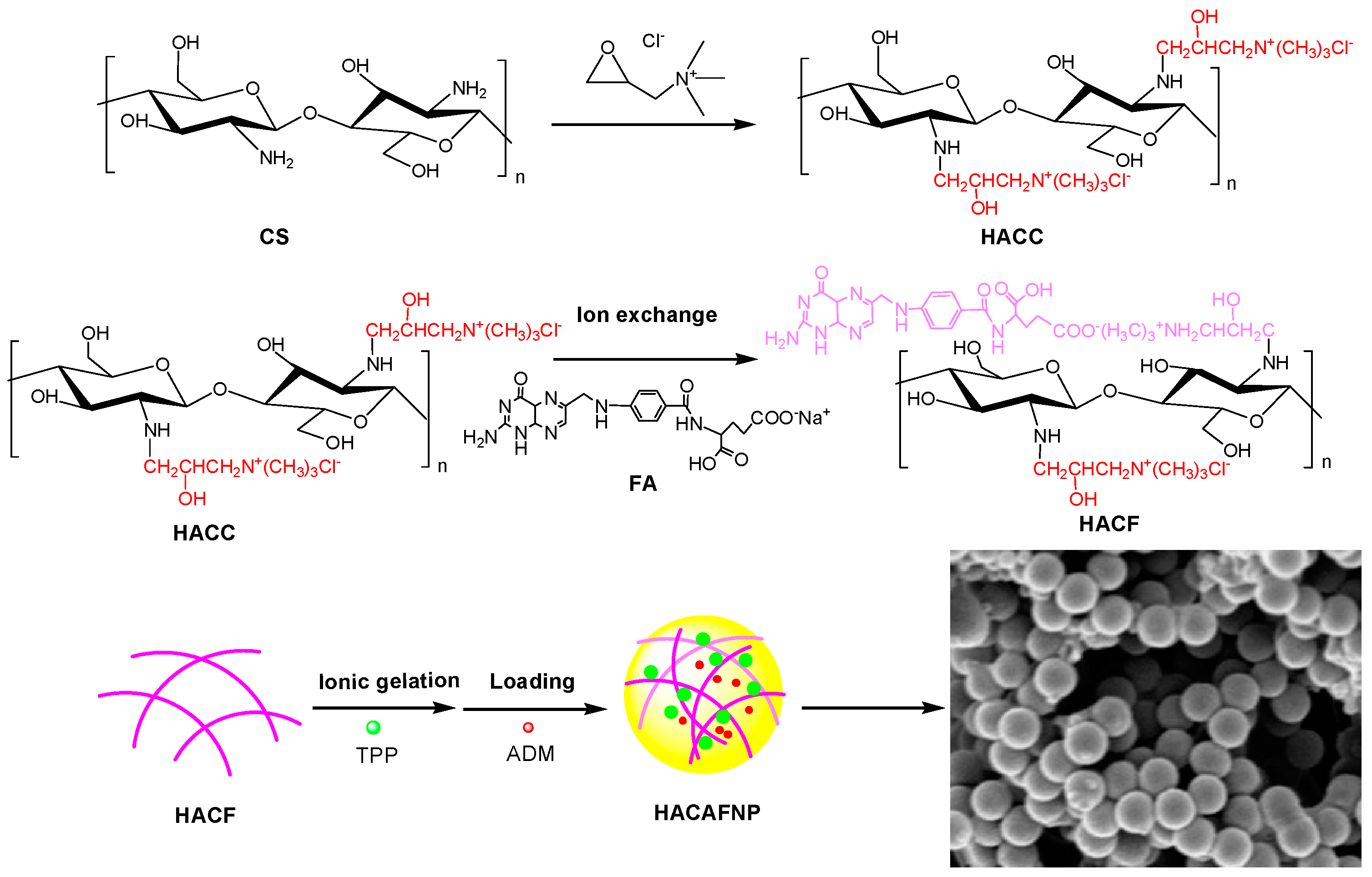 Polymers 13 02229 sch001
