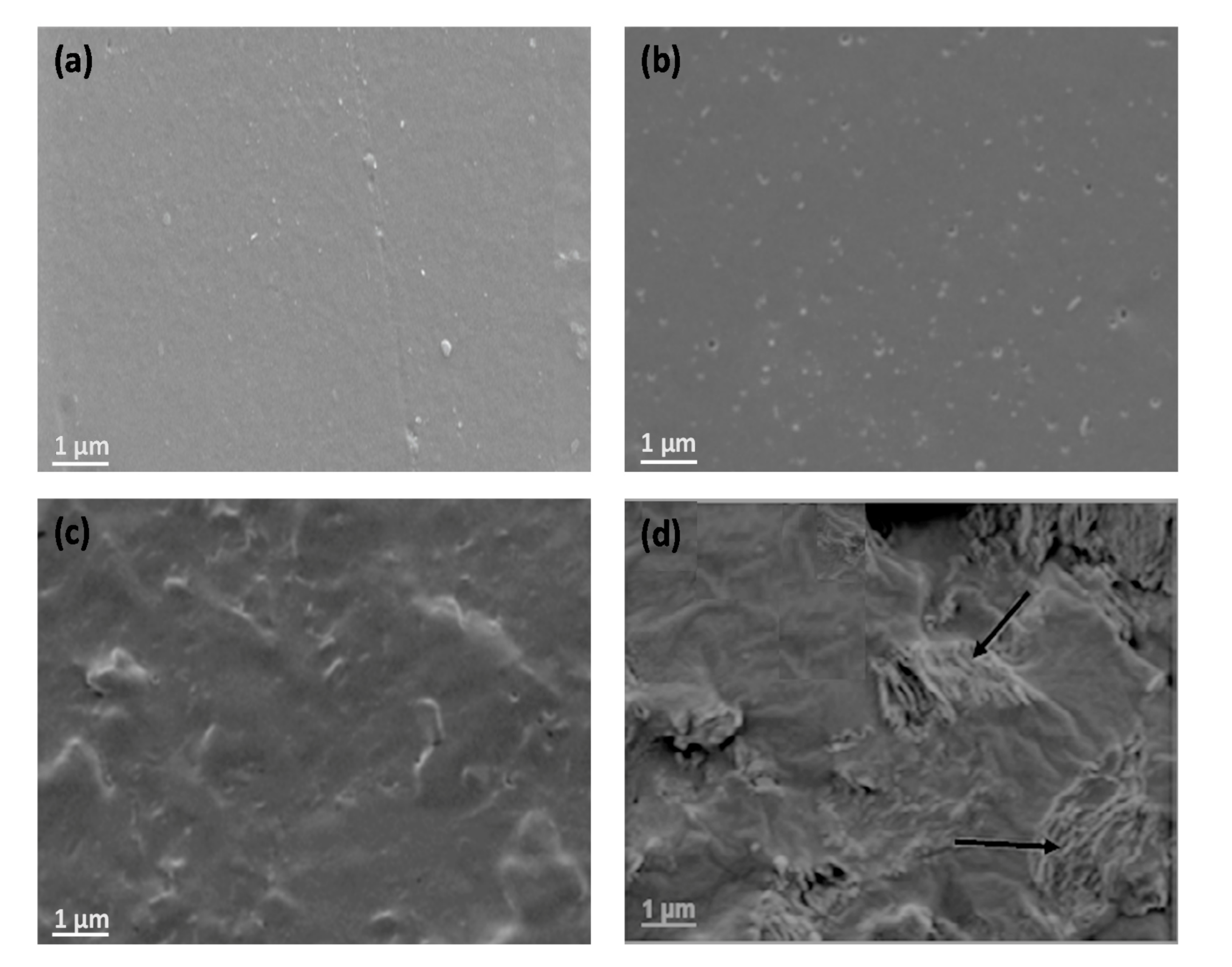 Polymers 13 02233 g001
