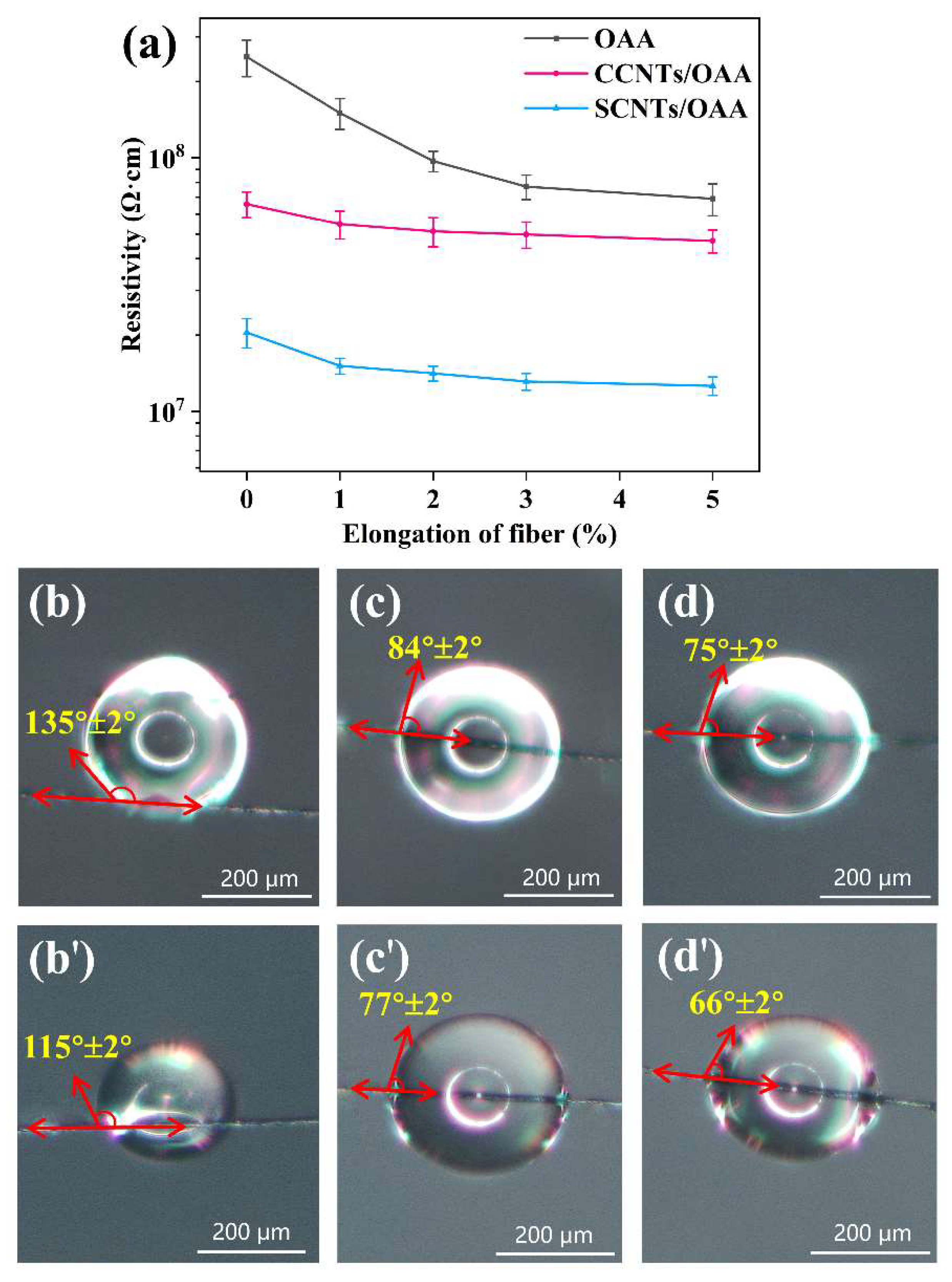Polymers 13 02248 g007