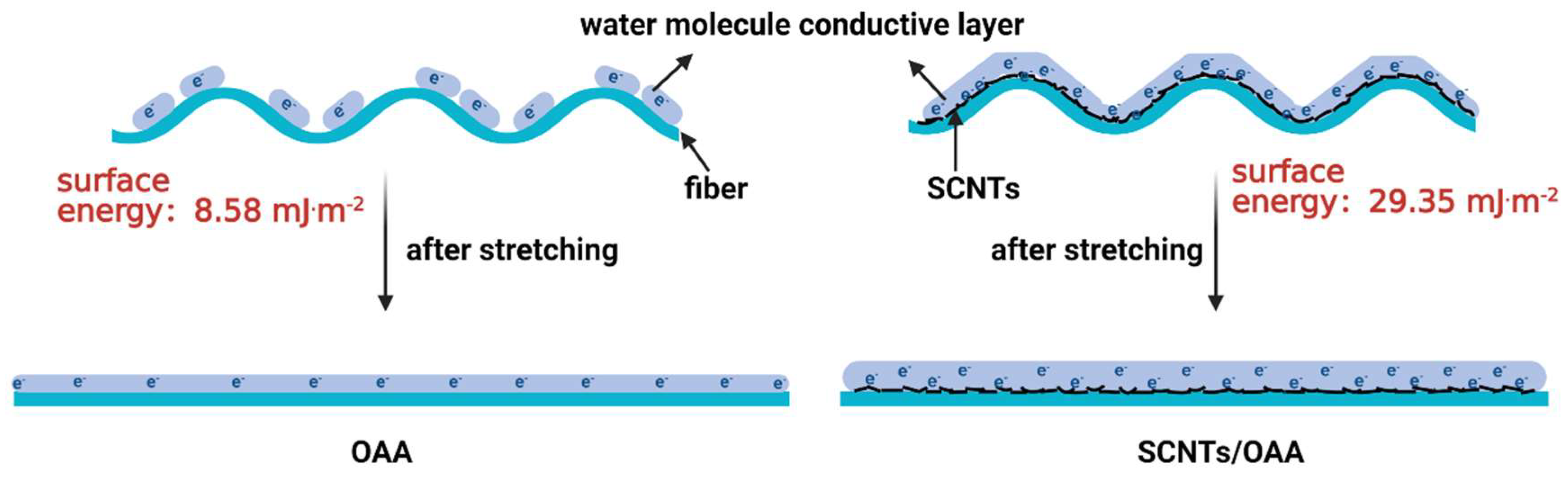 Polymers 13 02248 g008