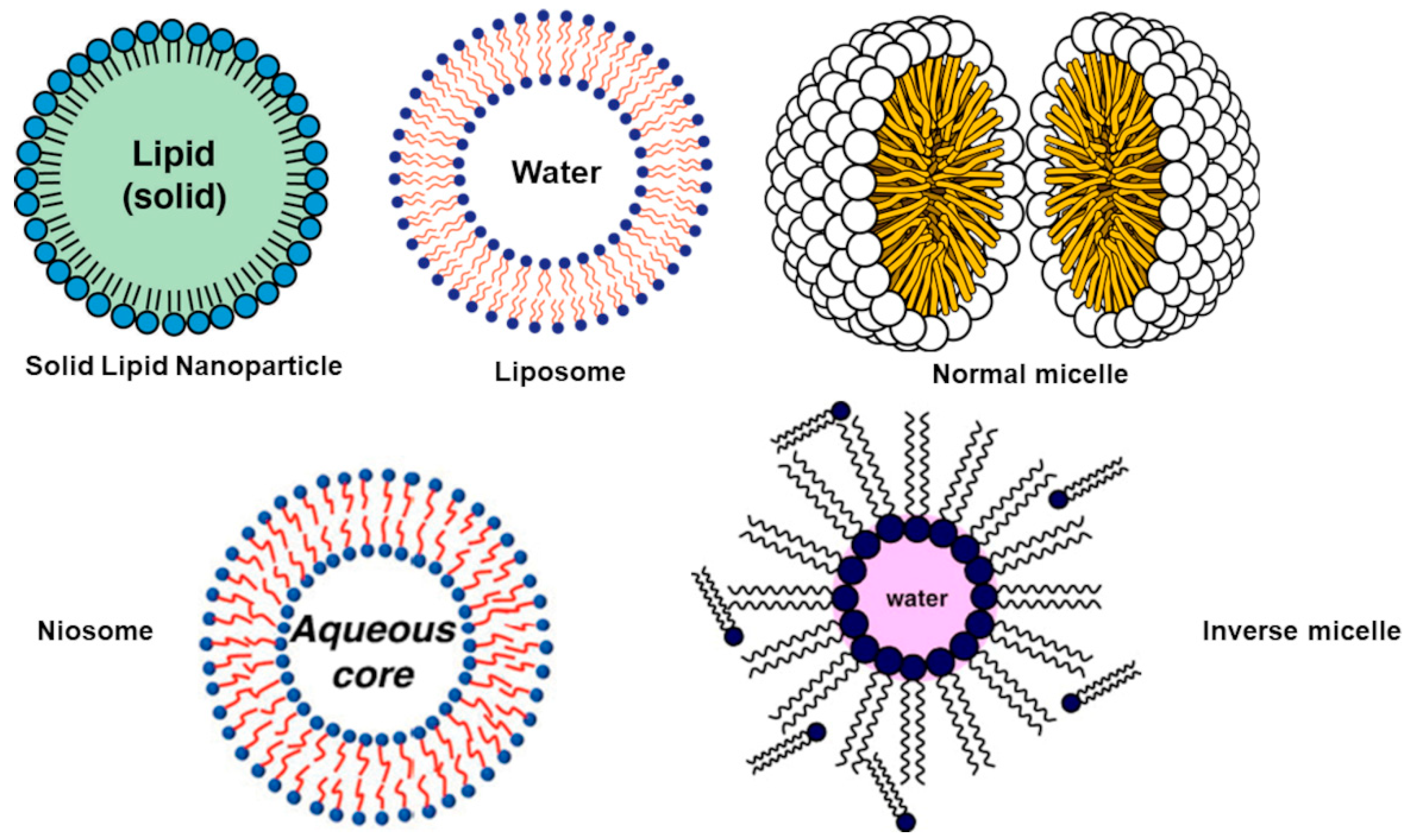 Polymers 13 02262 g006 Polymers 13 02262 g006