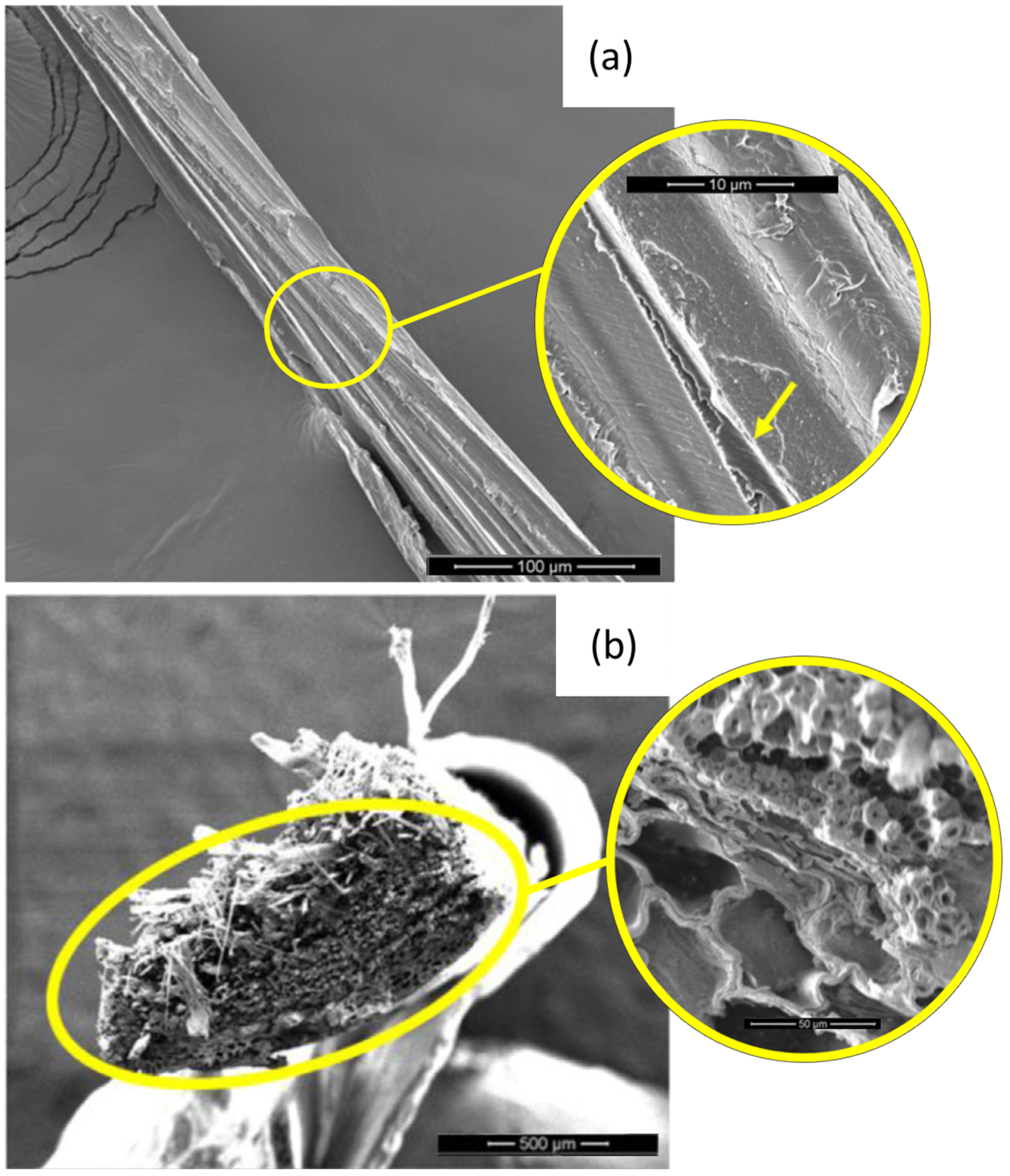 Polymers 13 02264 g002
