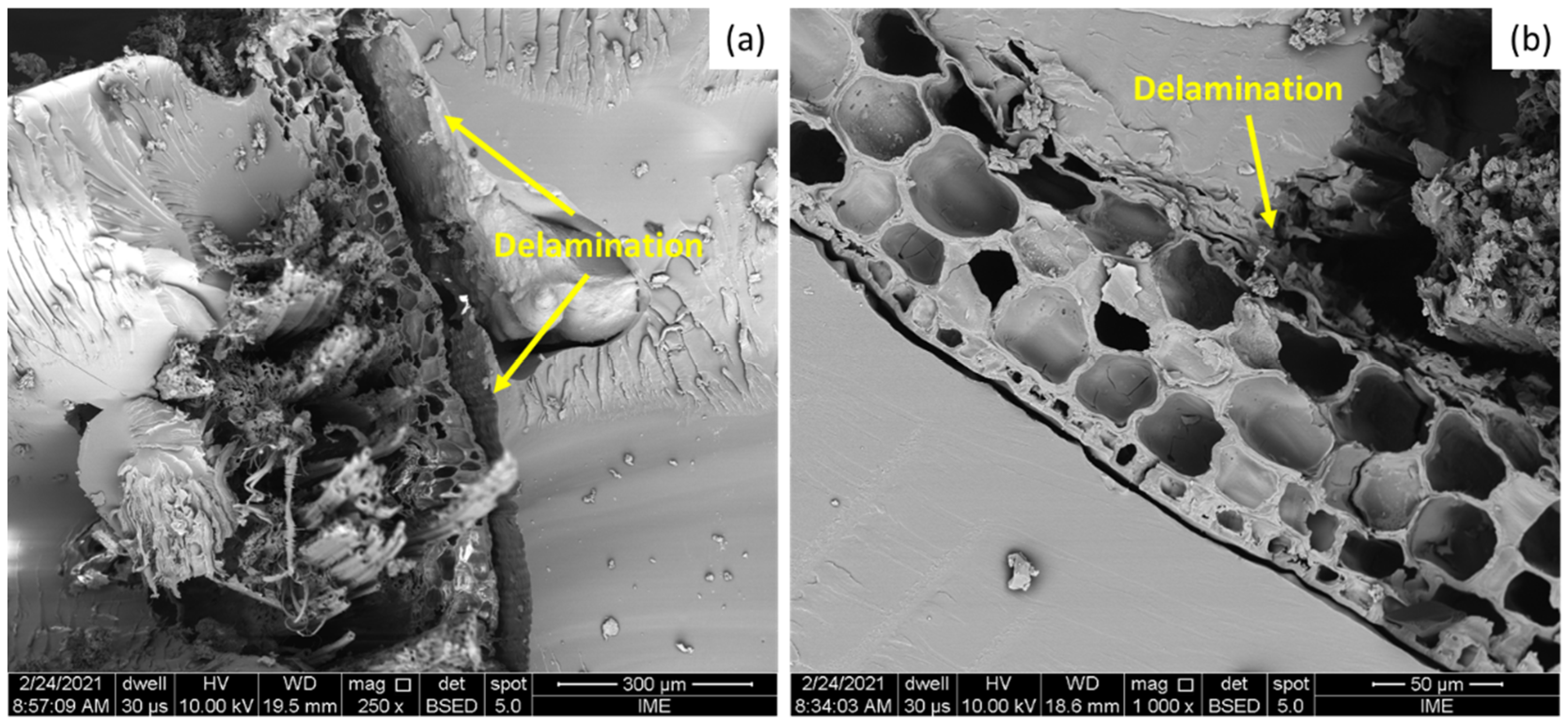 Polymers 13 02264 g006