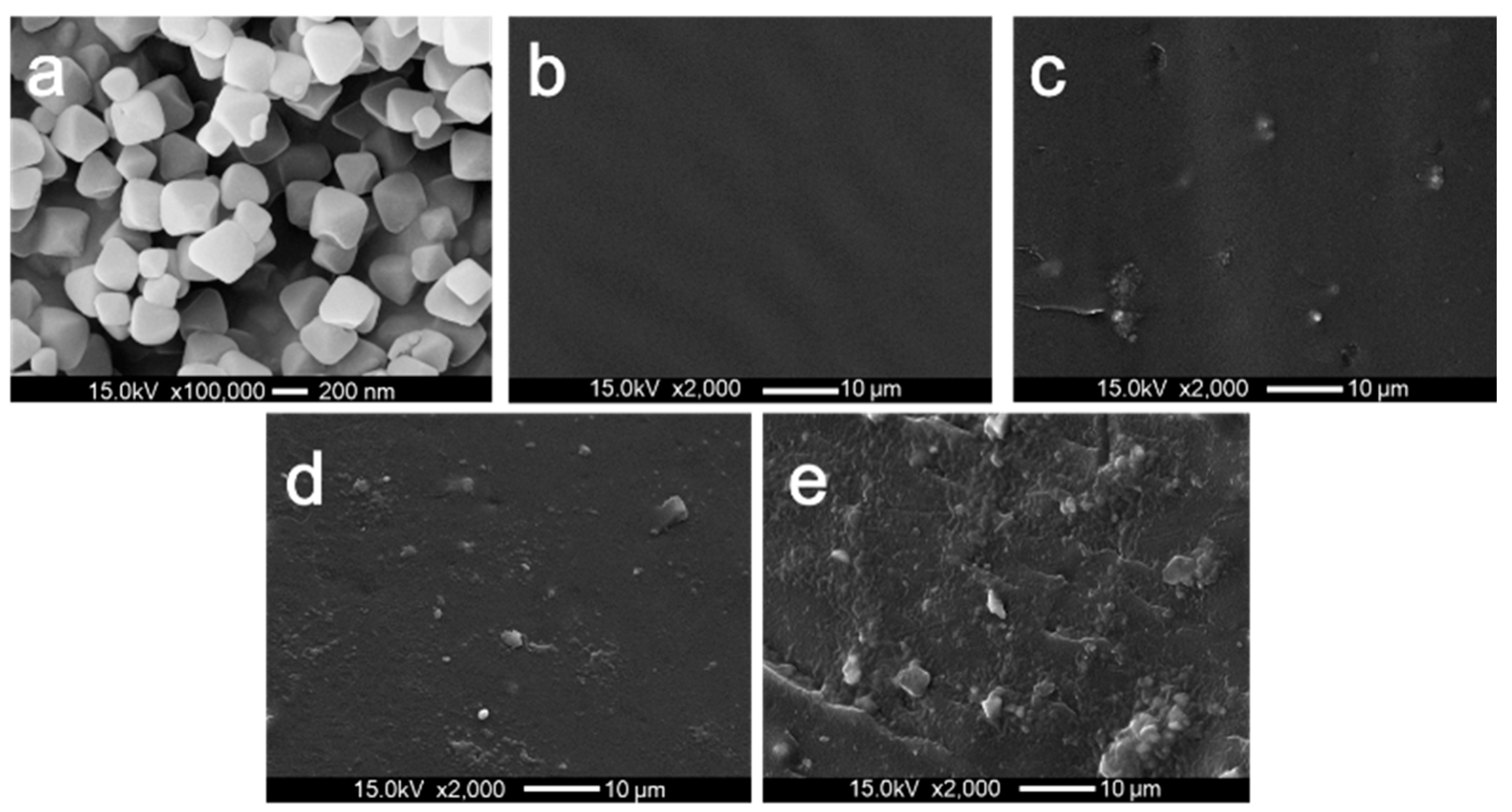 Polymers 13 02266 g002