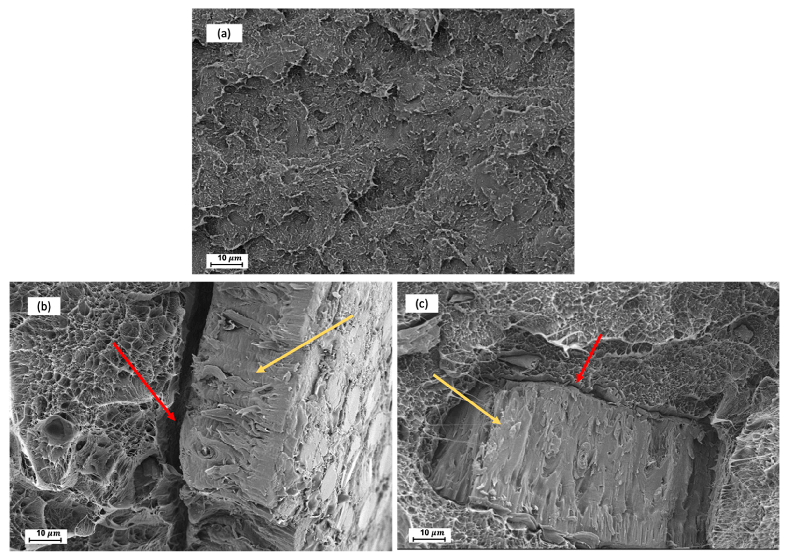 Polymers 13 02269 g001