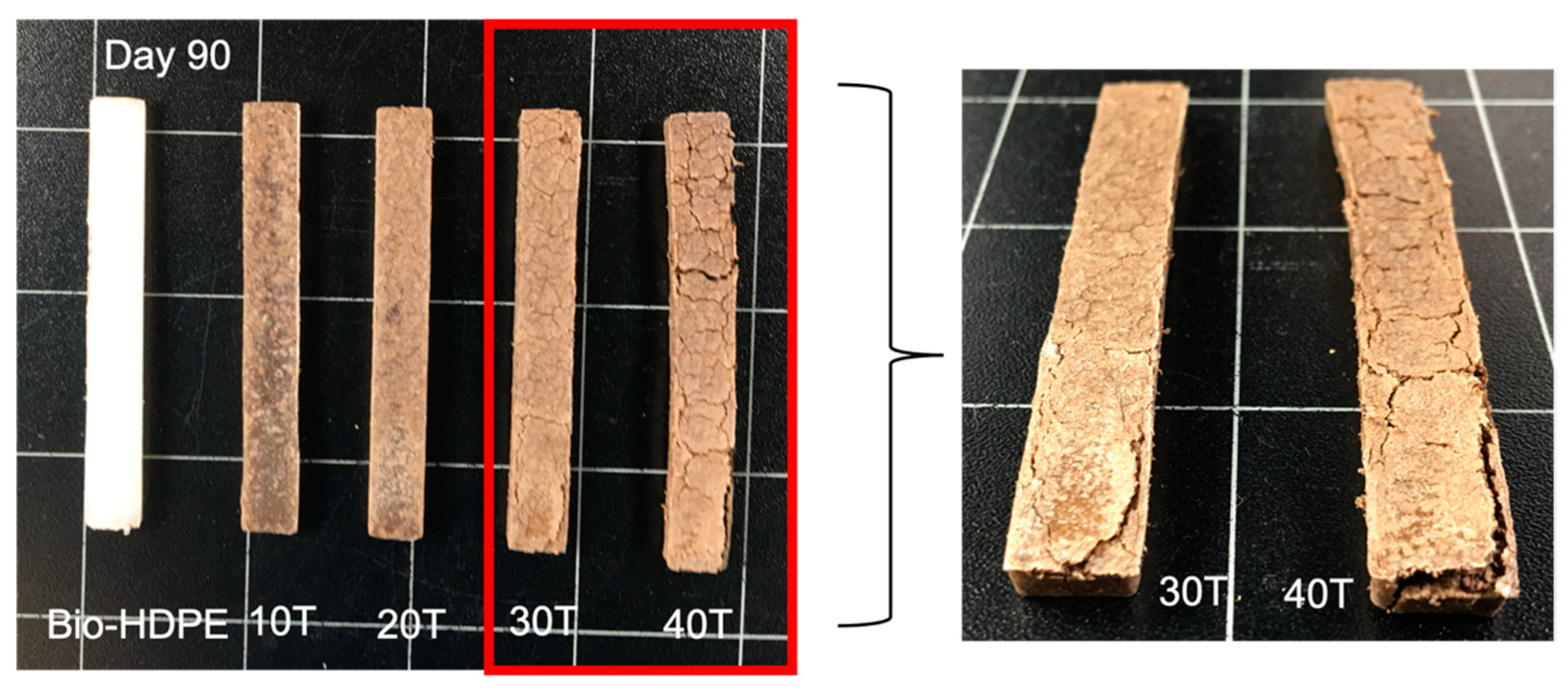 Polymers 13 02269 g014