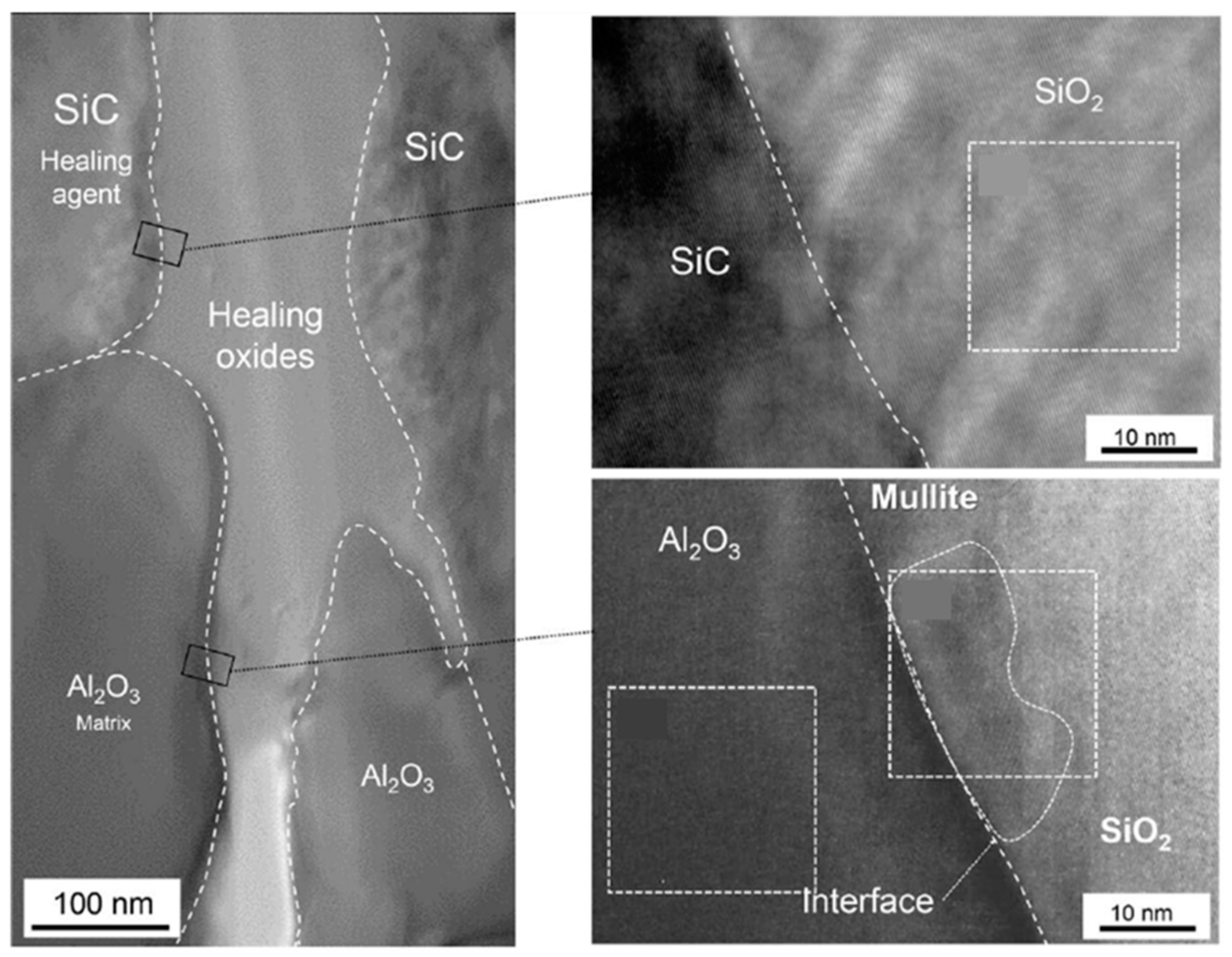 Polymers 13 02297 g005 Polymers 13 02297 g005