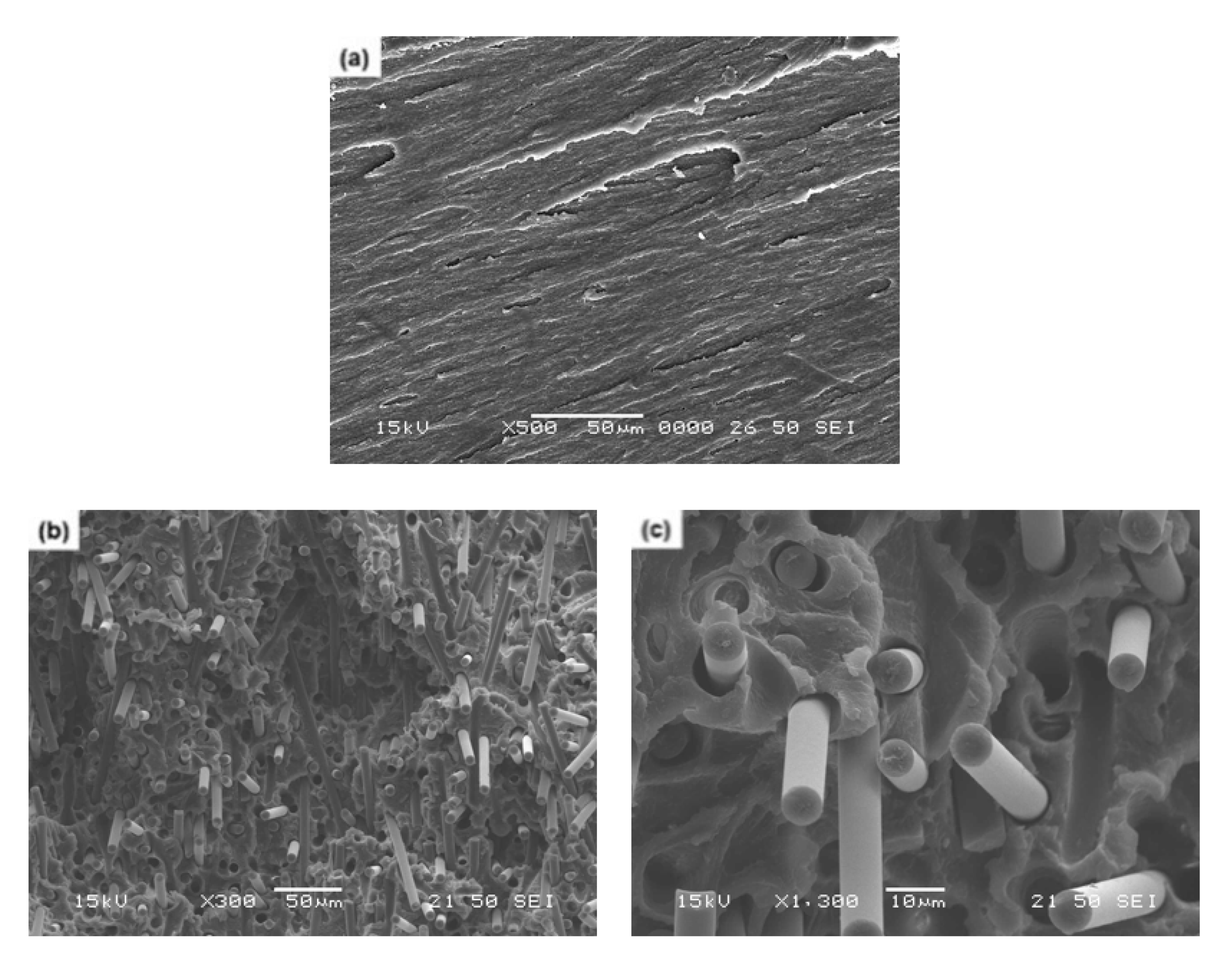 Polymers 13 02298 g011