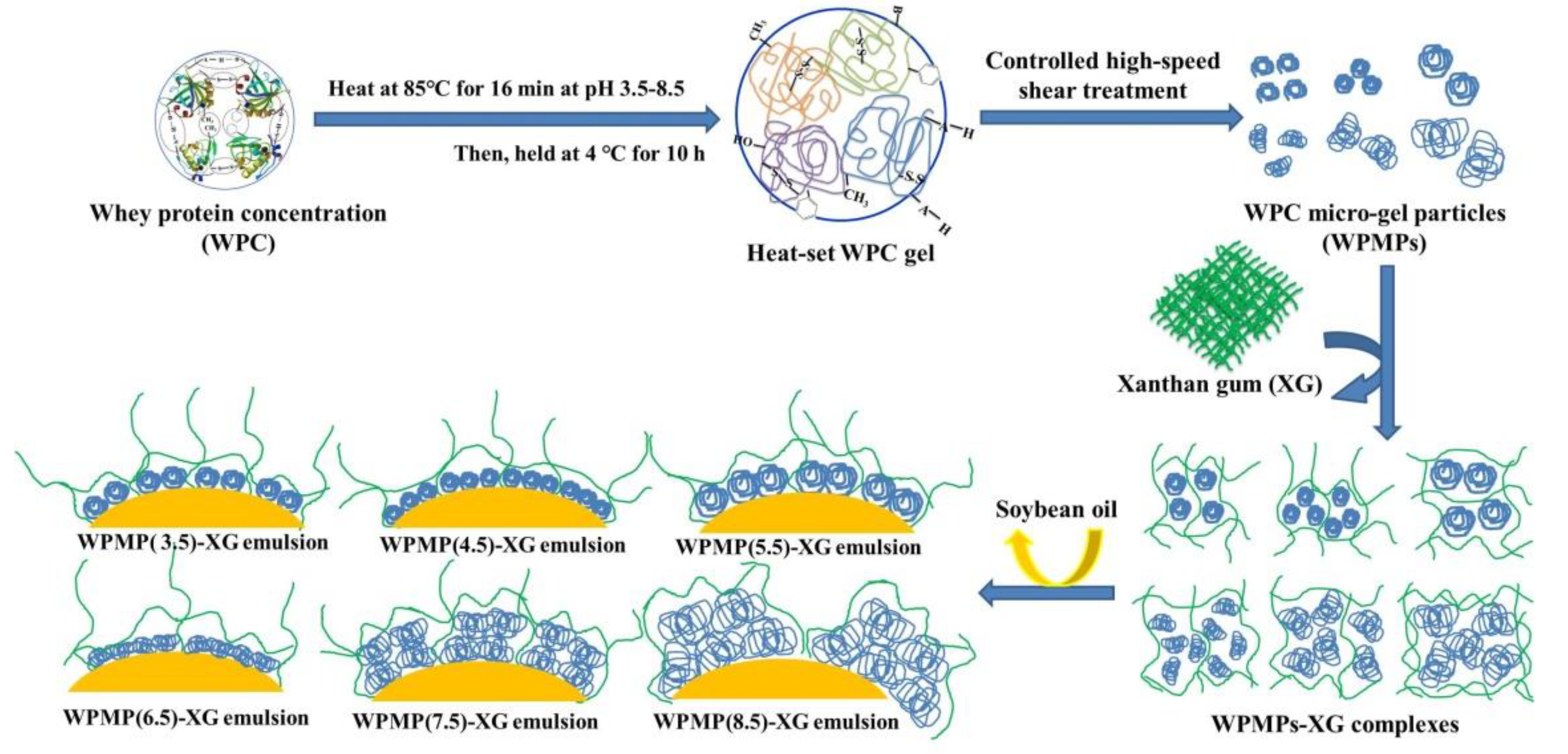 Polymers 13 02301 g003