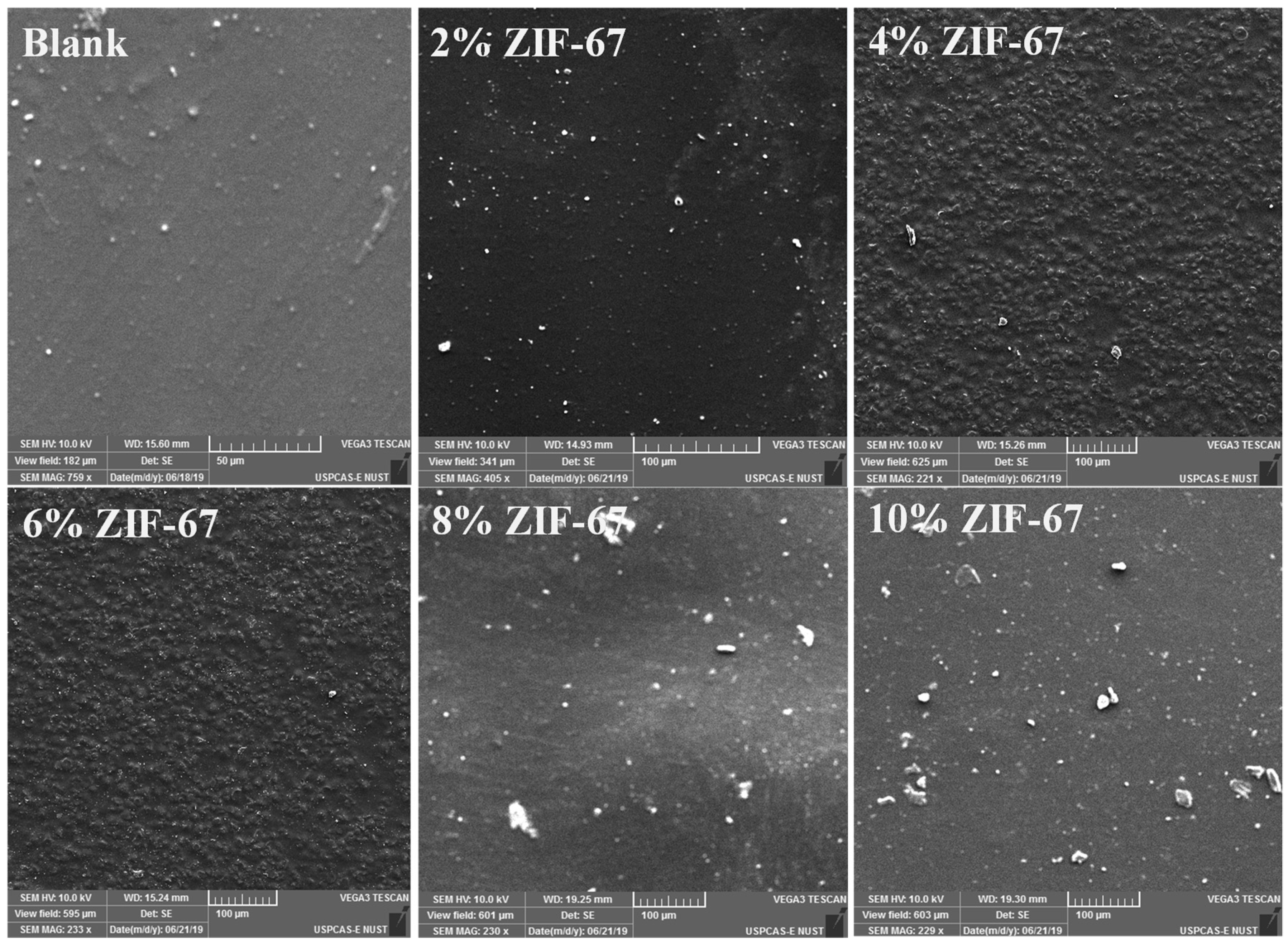 Polymers 13 02307 g002