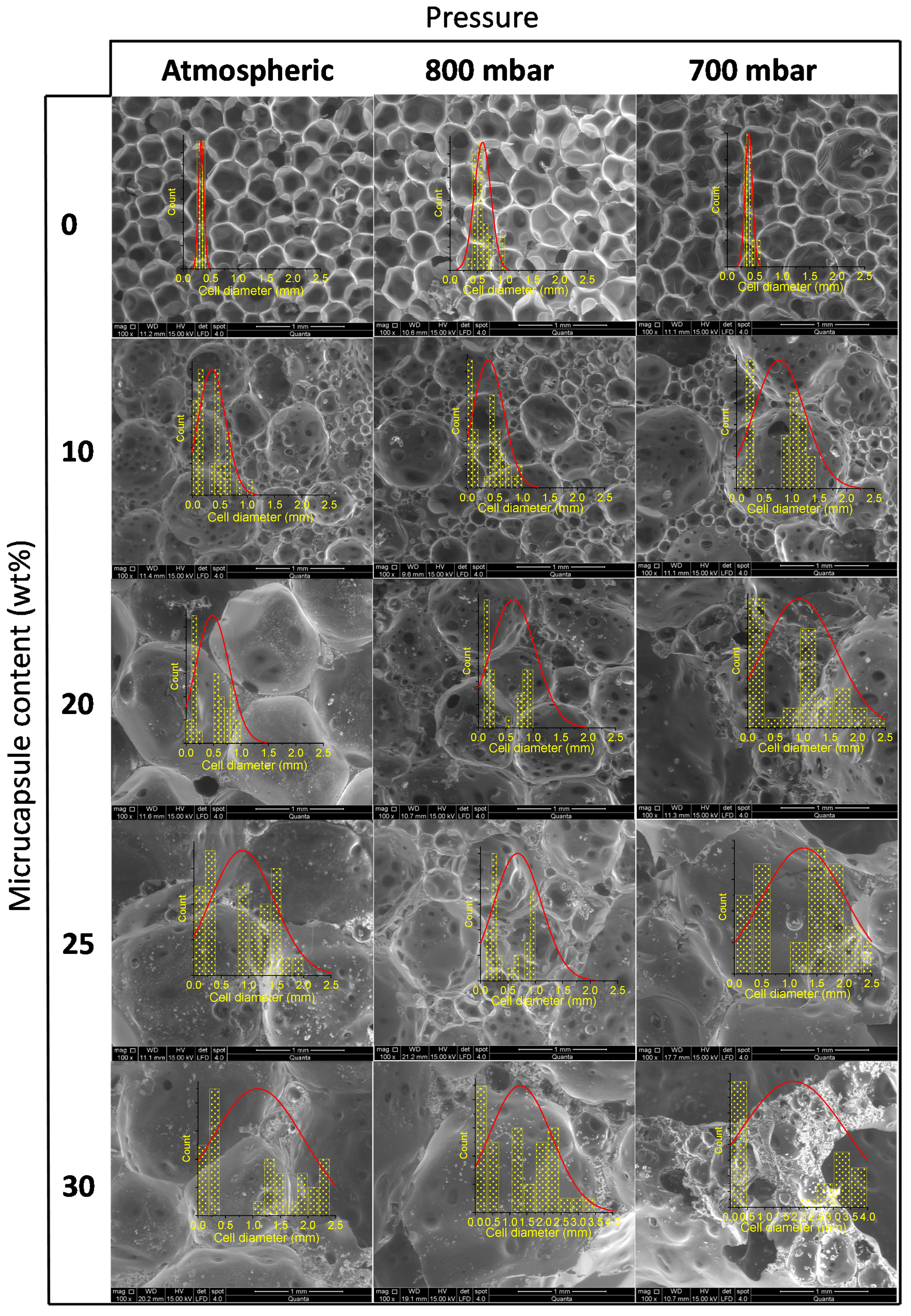 Polymers 13 02328 g006