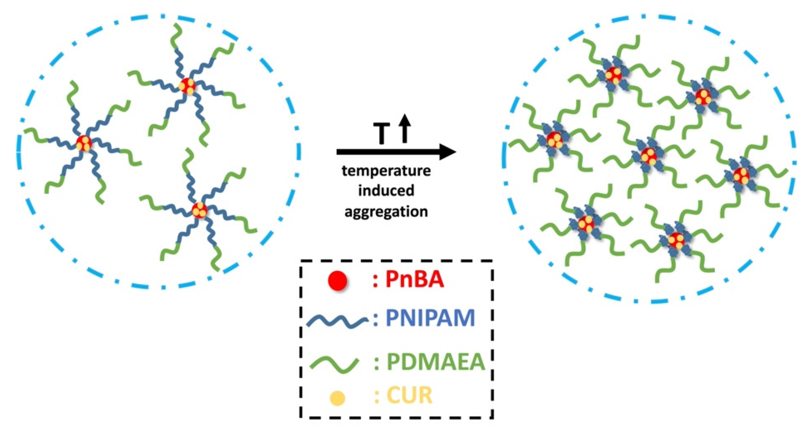 Polymers 13 02361 sch003