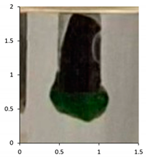 Polymers 13 02373 i001