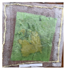 Polymers 13 02373 i008