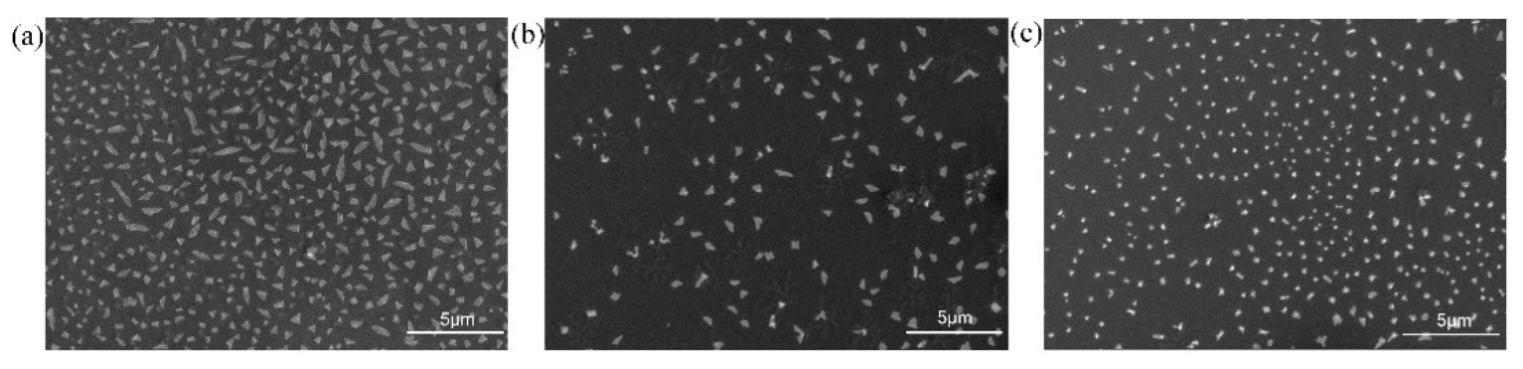 Polymers 13 02389 g005 Polymers 13 02389 g005