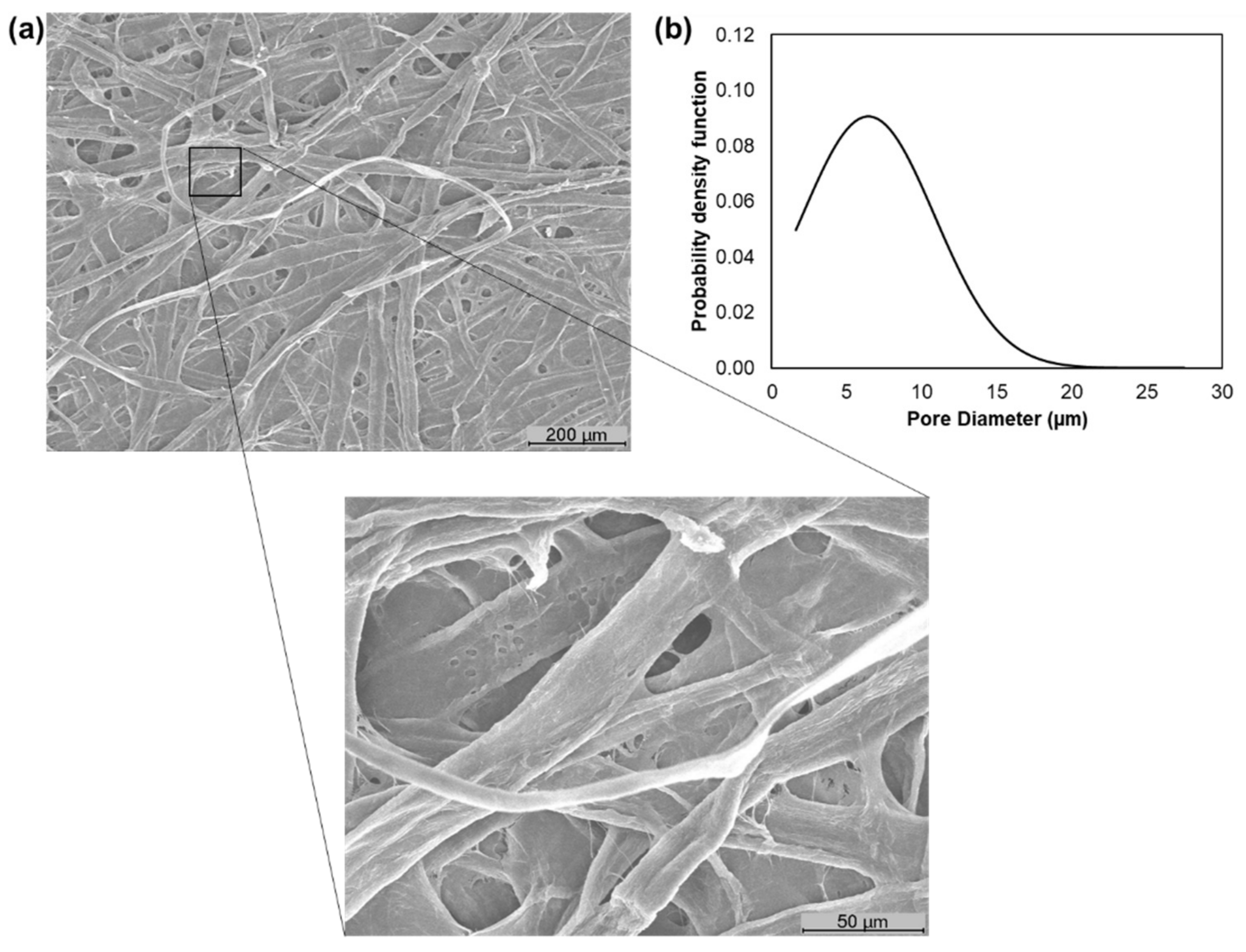 Polymers 13 02397 g003 Polymers 13 02397 g003