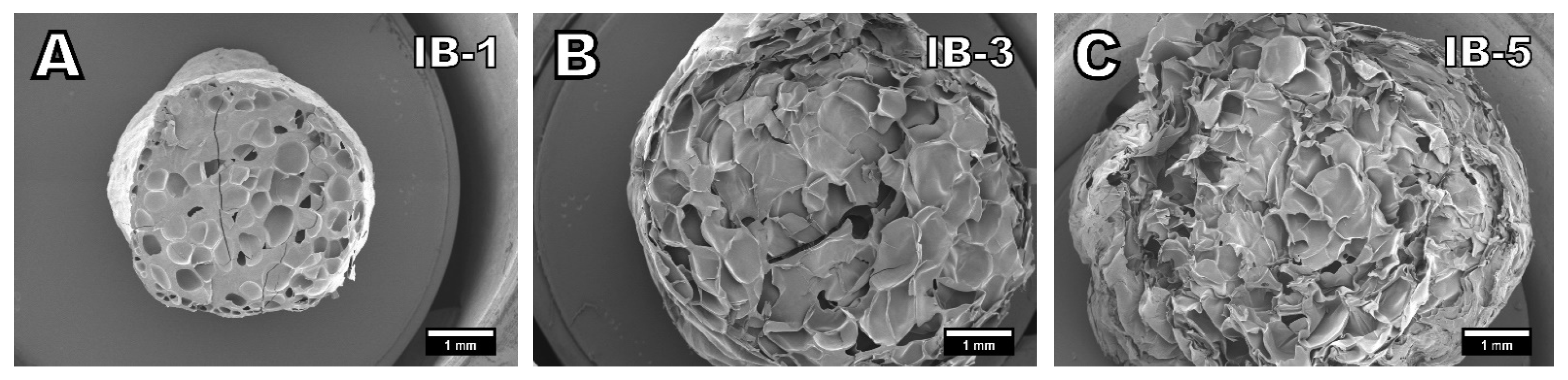 Polymers 13 02416 g003