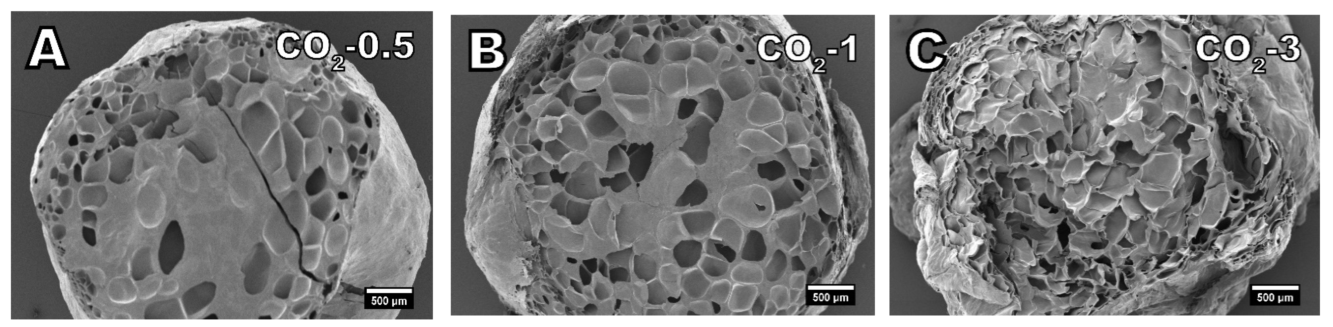 Polymers 13 02416 g004