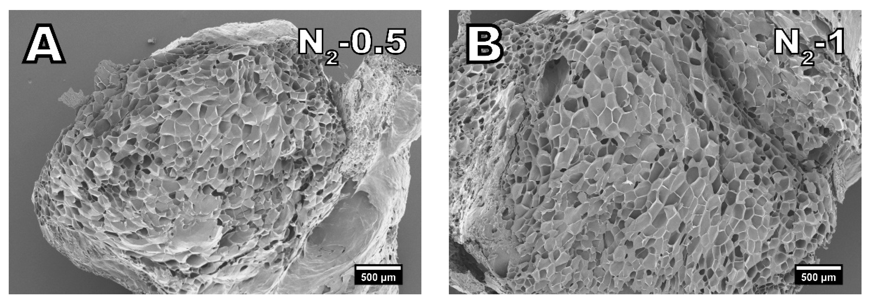 Polymers 13 02416 g005