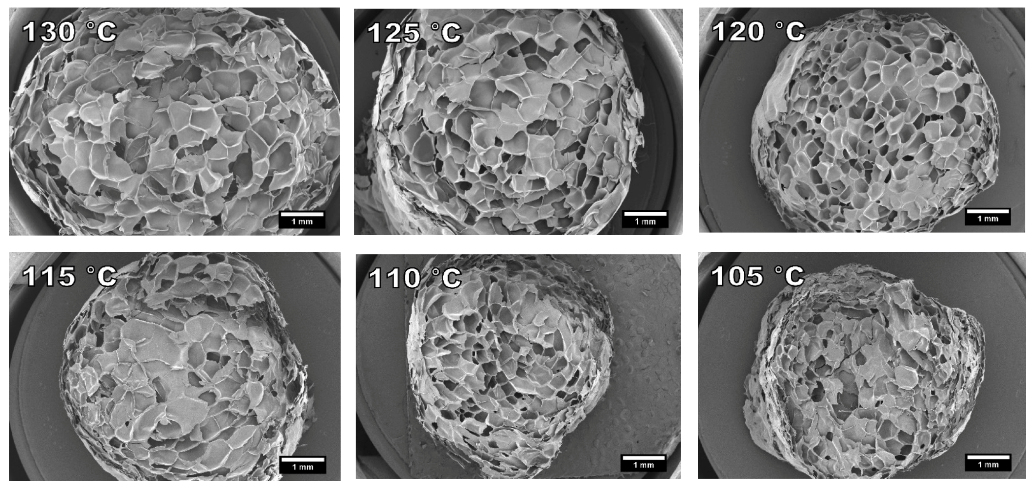 Polymers 13 02416 g007