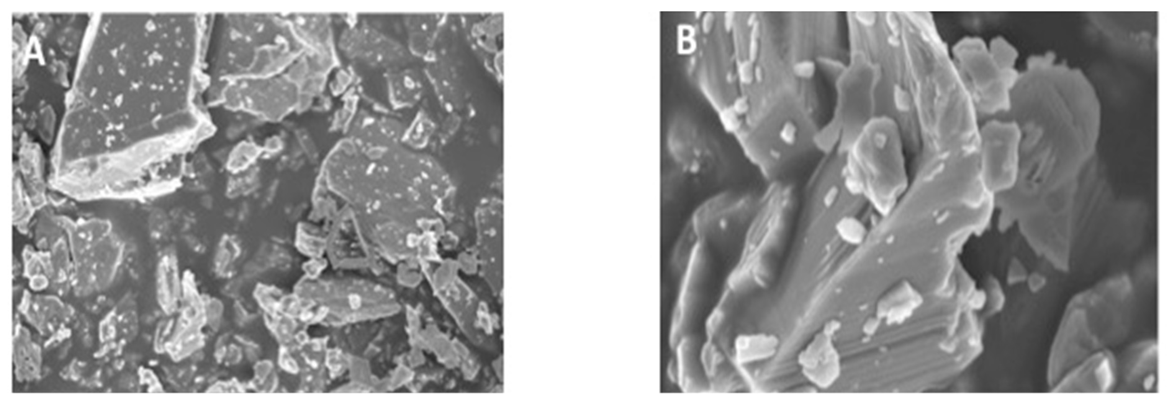 Polymers 13 02418 g001