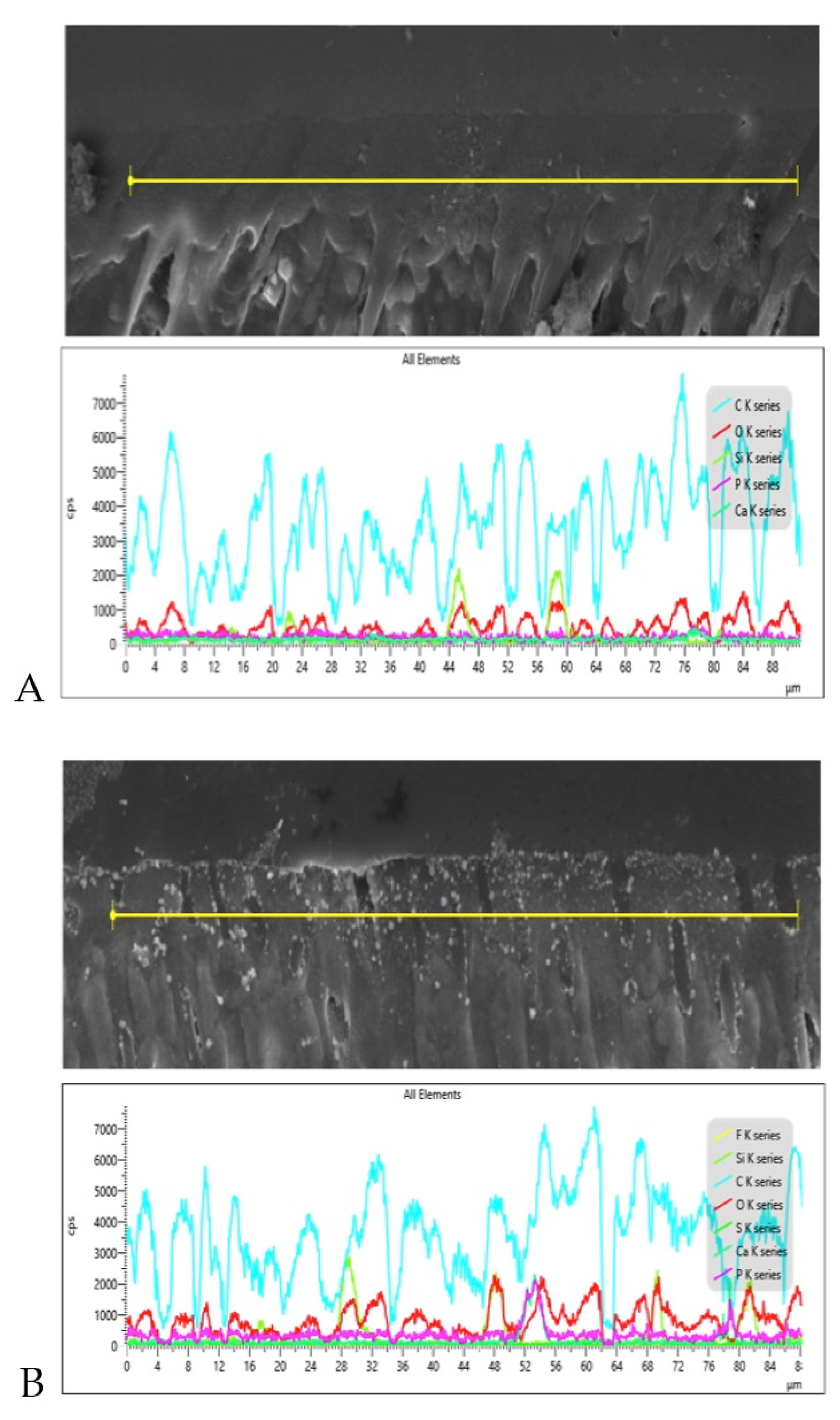 Polymers 13 02418 g003