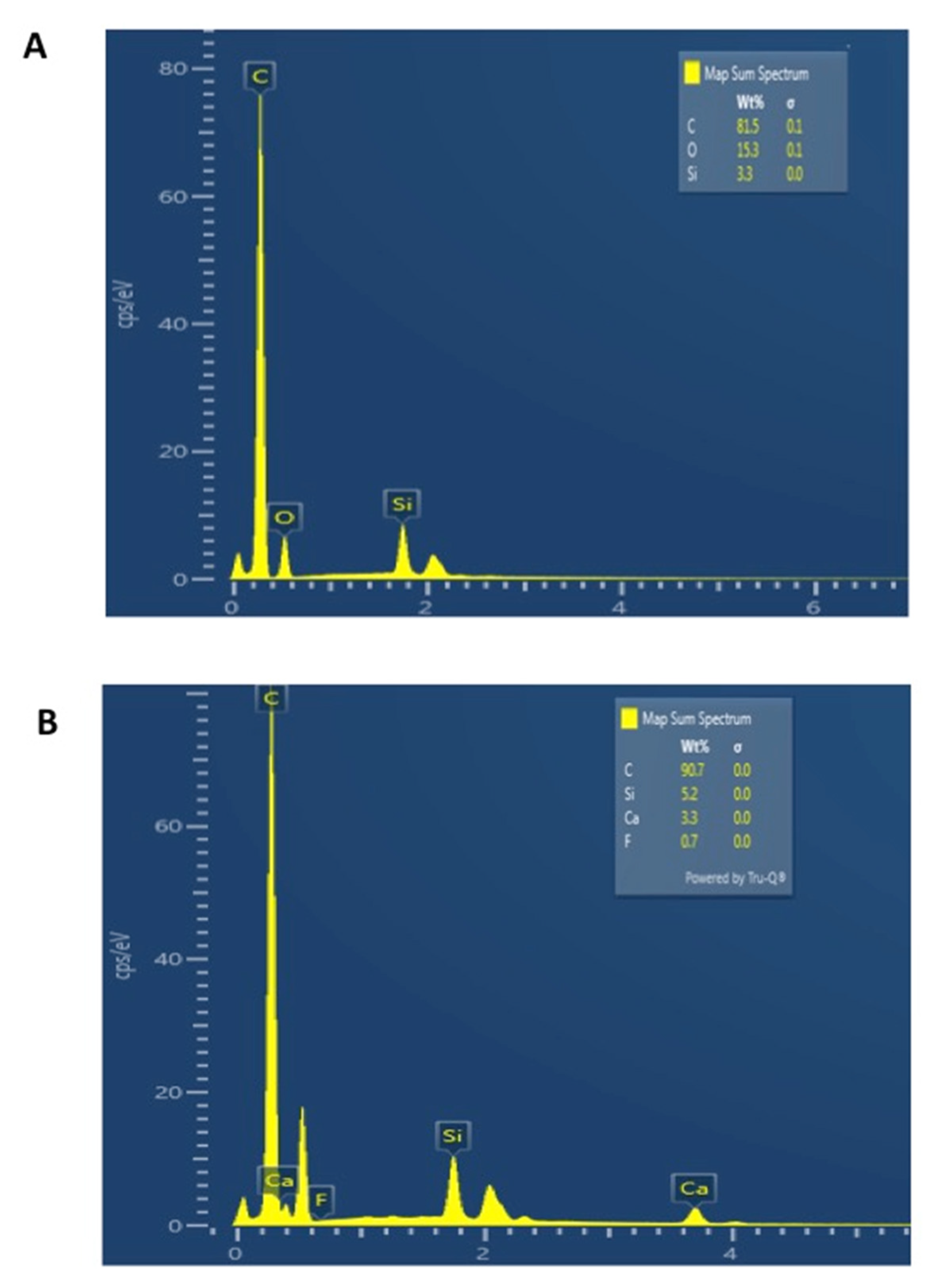 Polymers 13 02418 g004