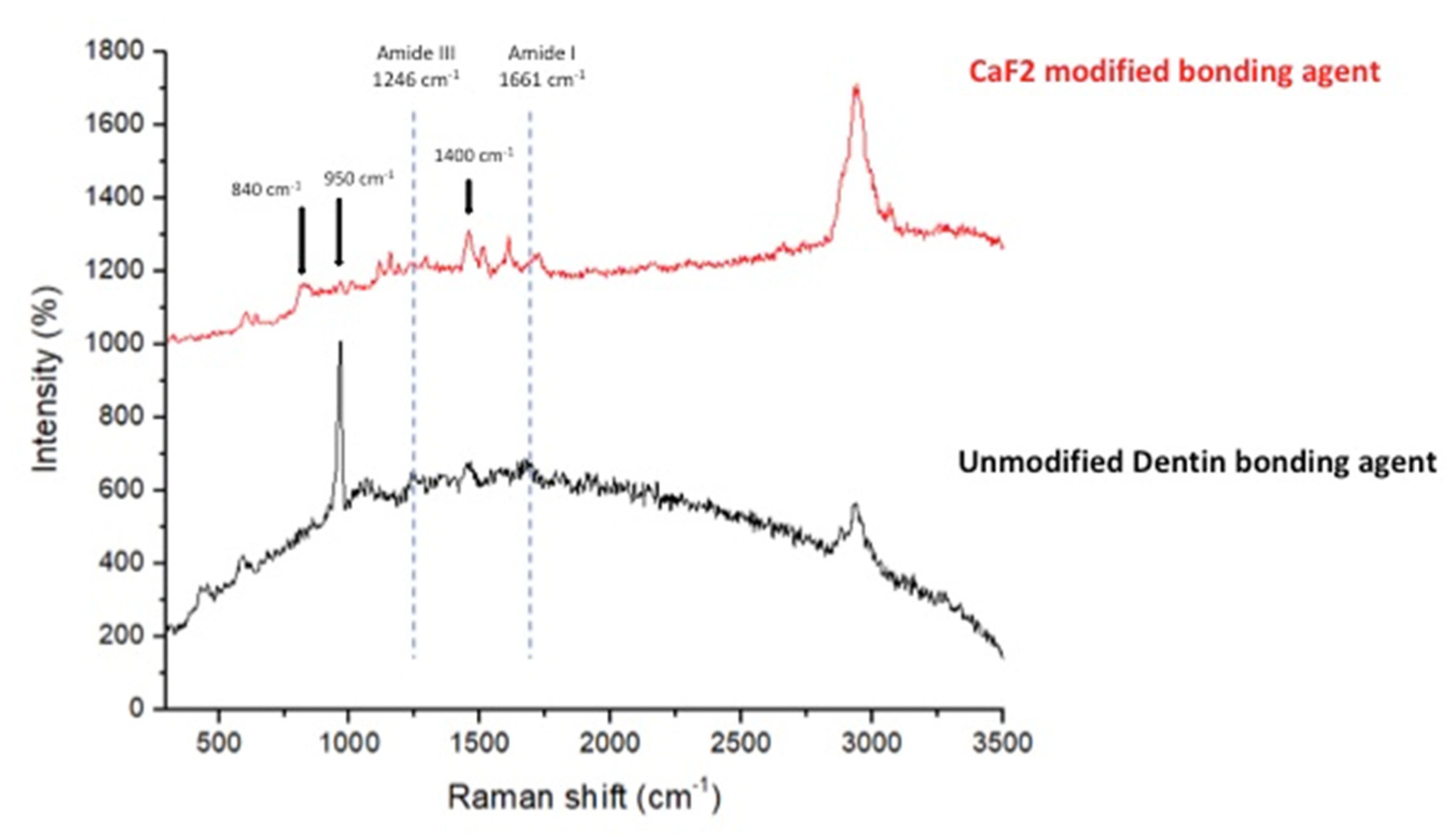 Polymers 13 02418 g005