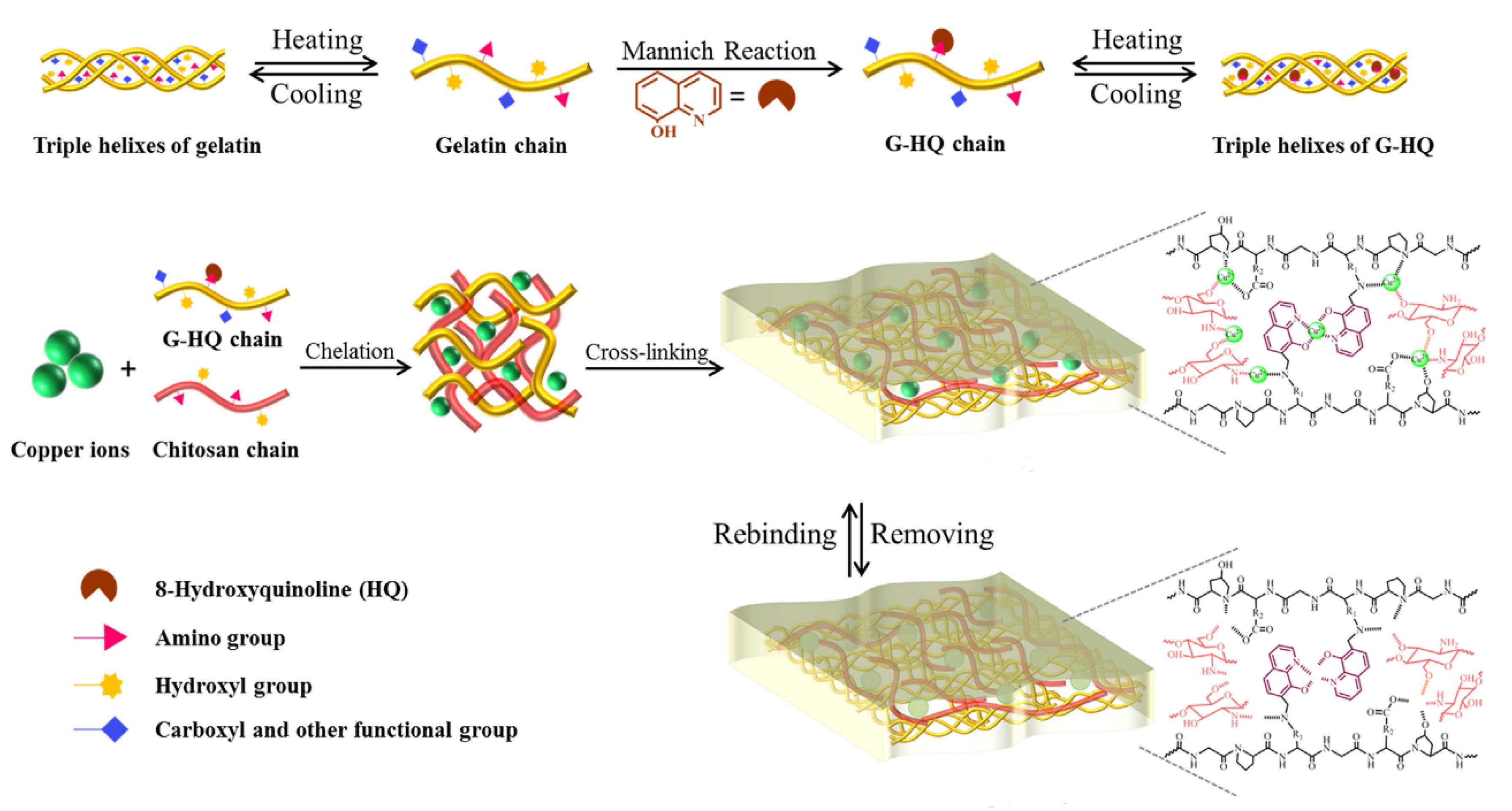 Polymers 13 02430 g004