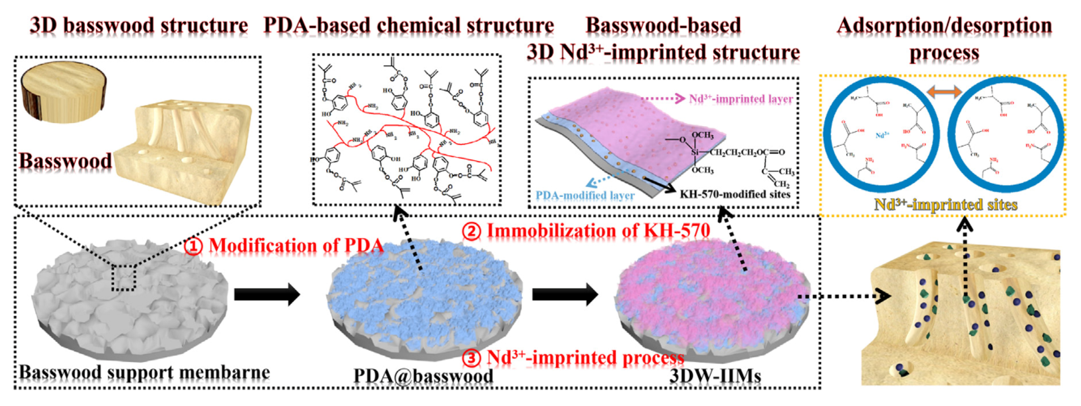 Polymers 13 02430 g008