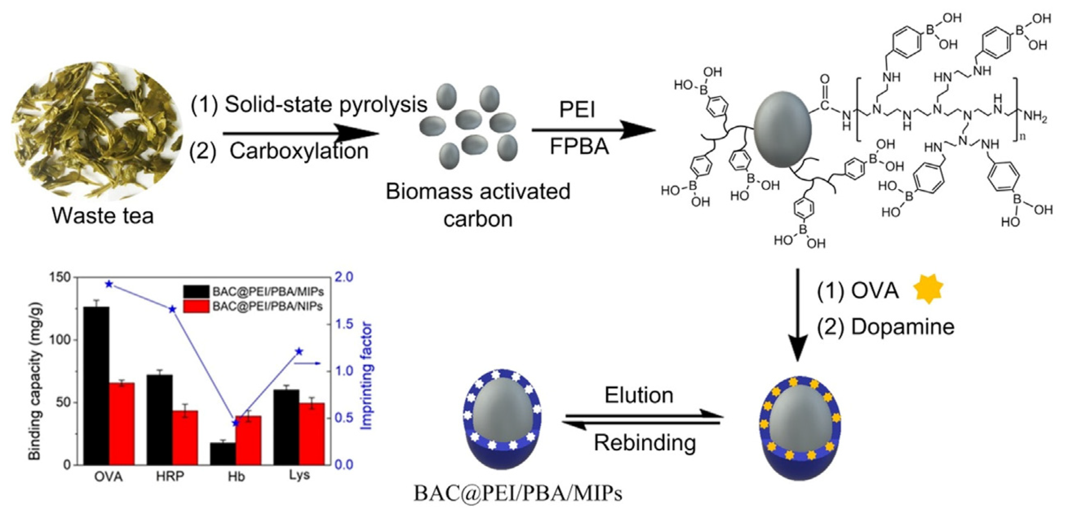 Polymers 13 02430 g009