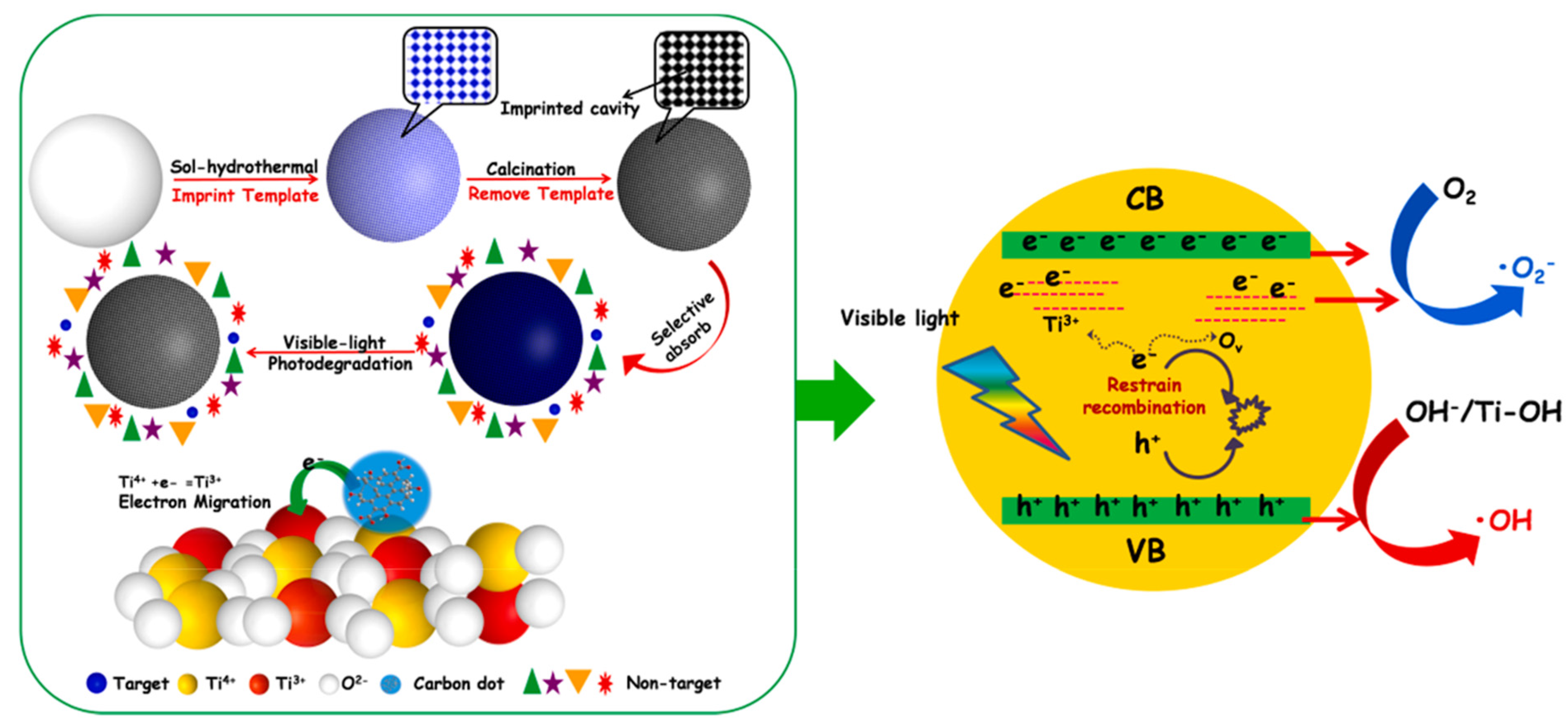 Polymers 13 02430 g012