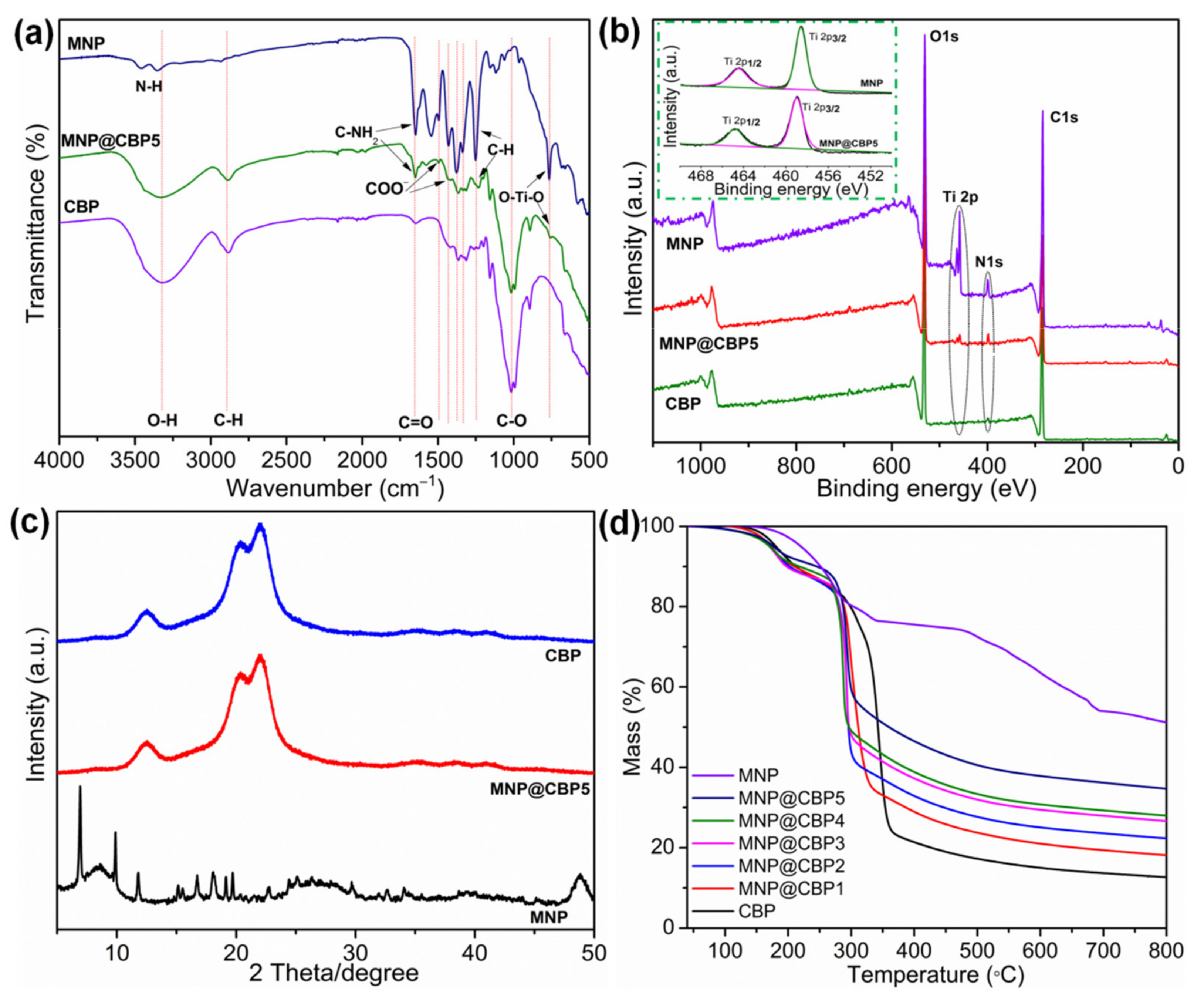 Polymers 13 02433 g004